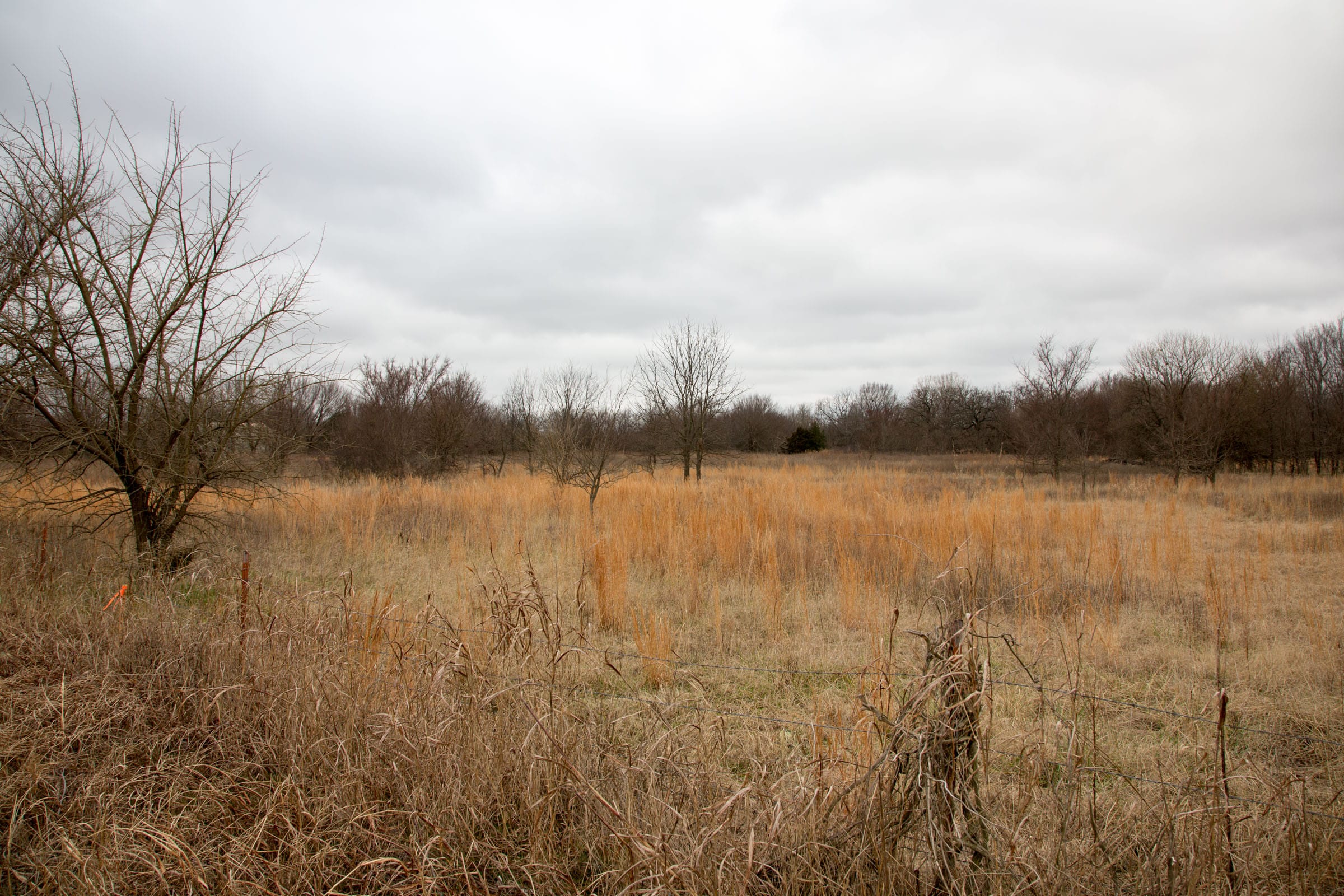 Canadian Plains Tract 4 photo 12