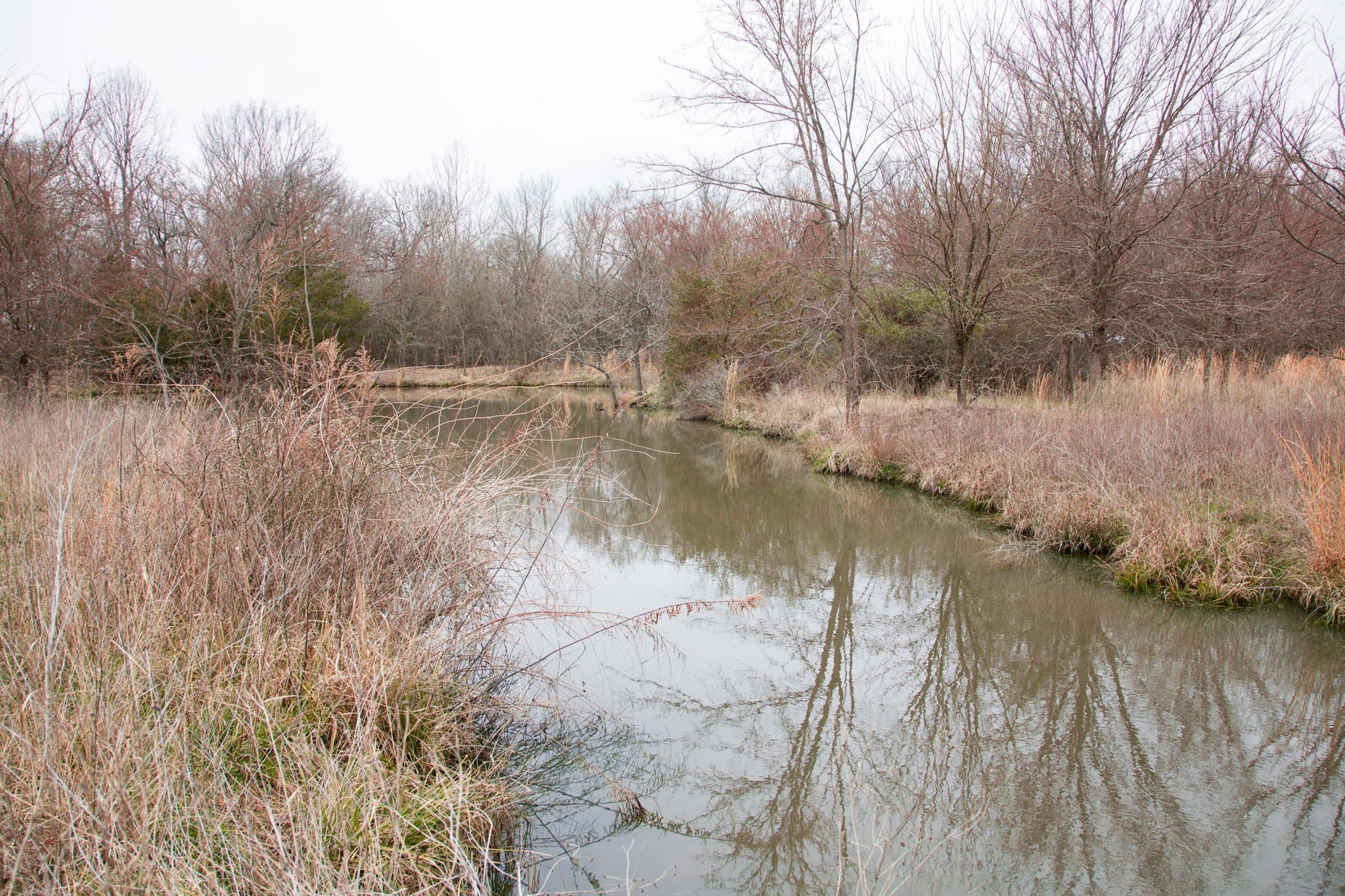 Canadian Plains Tract 4 photo 13