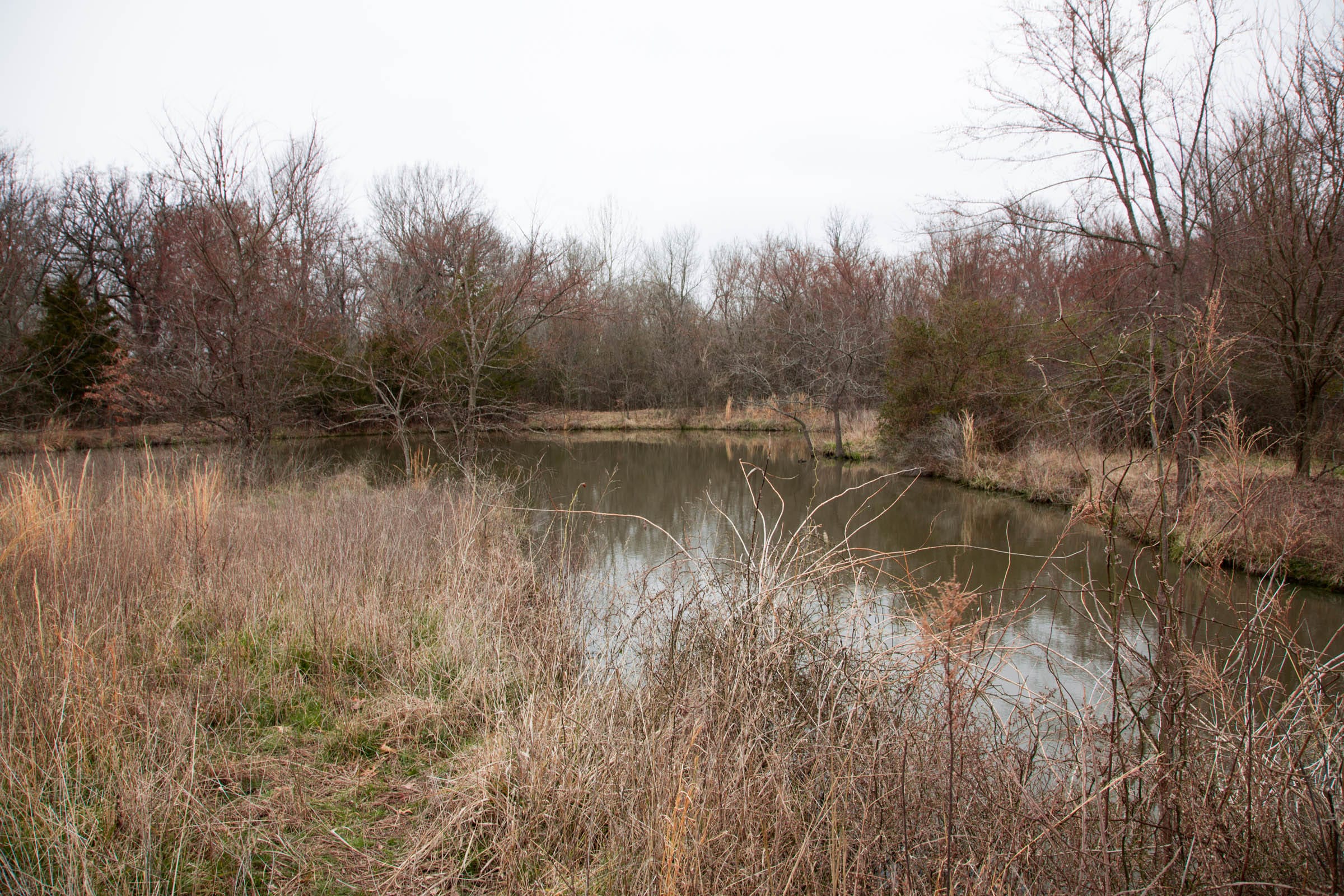 Canadian Plains Tract 4 photo 14
