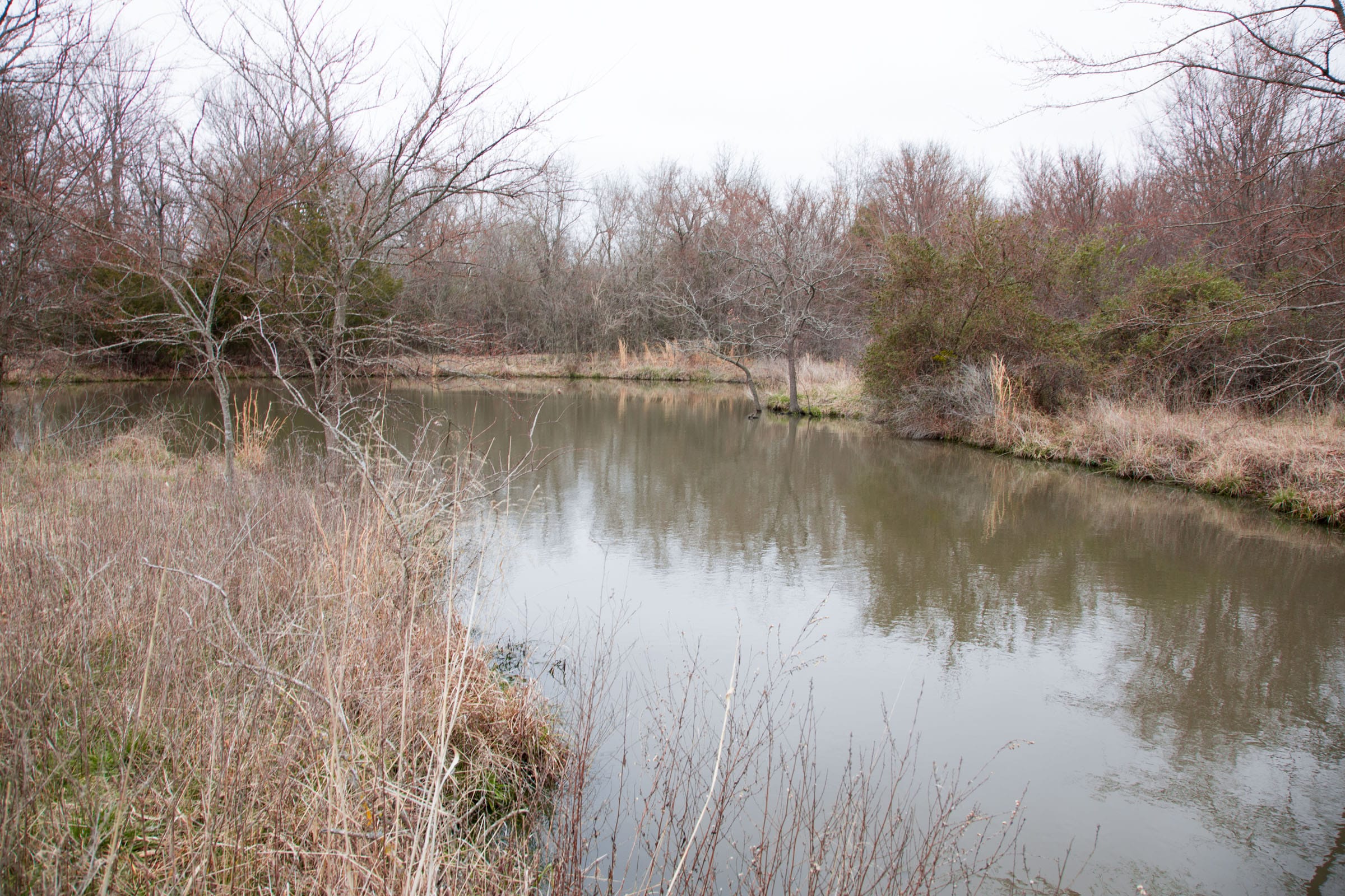Canadian Plains Tract 4 photo 15
