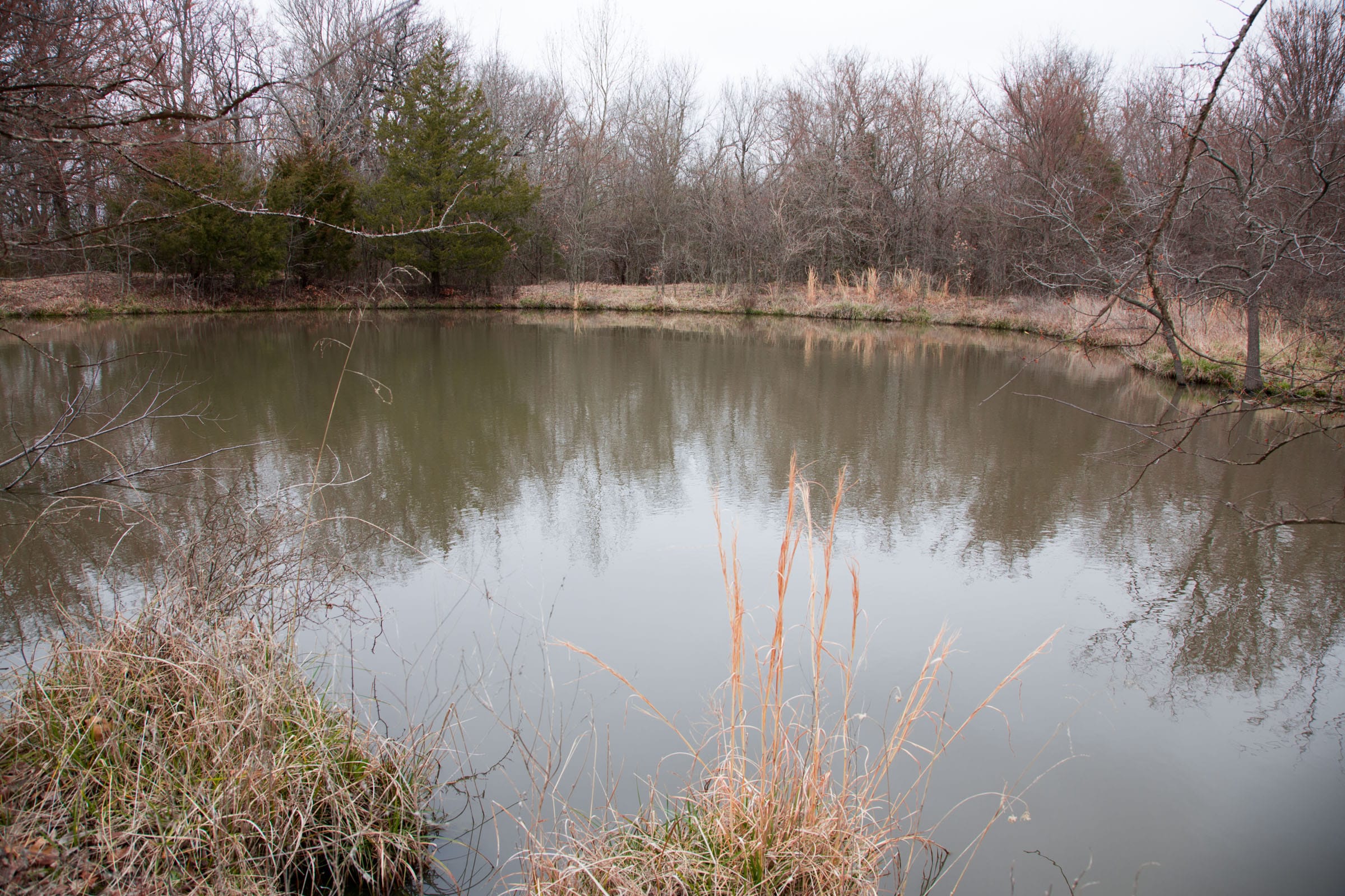 Canadian Plains Tract 4 photo 16