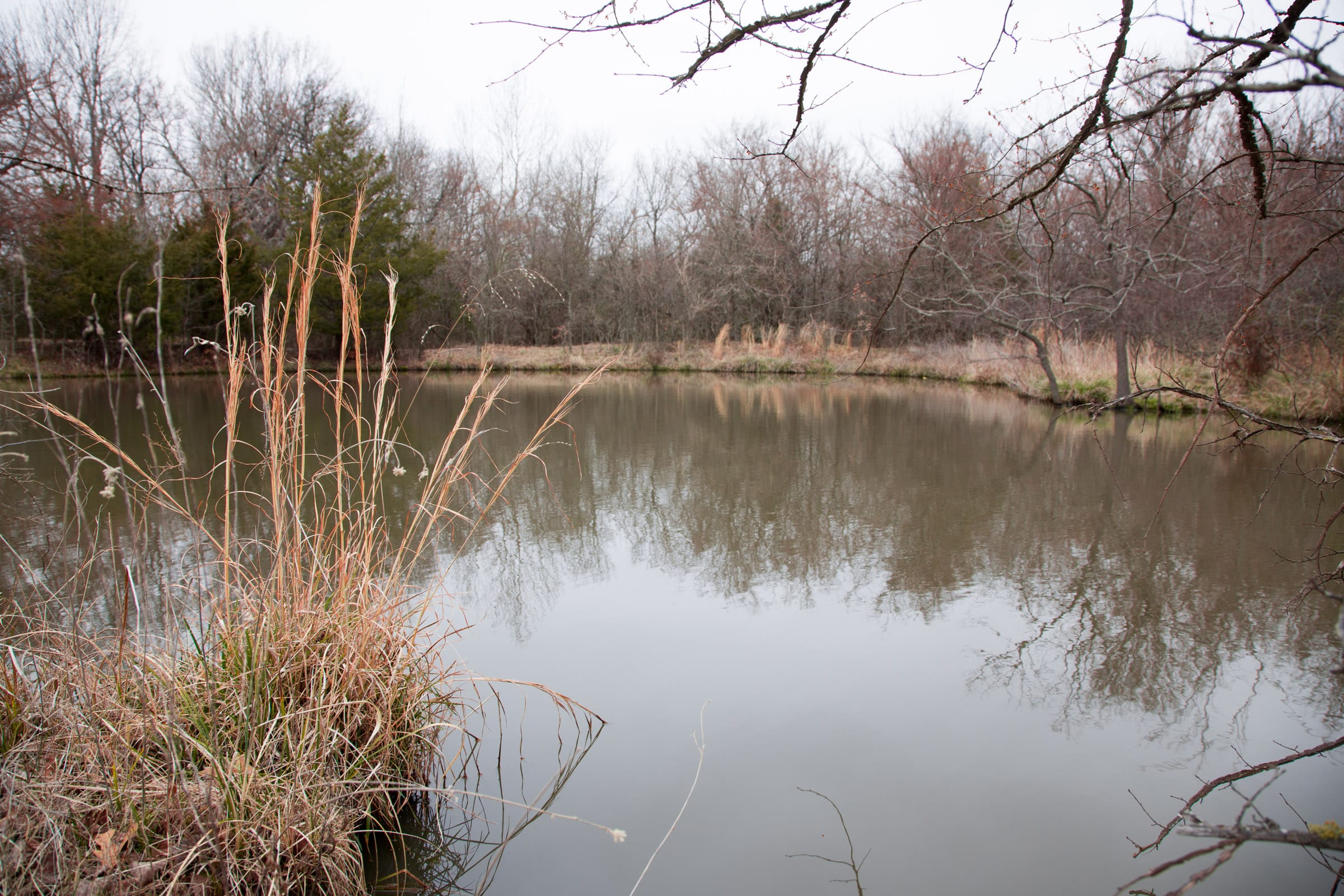 Canadian Plains Tract 4 photo 17
