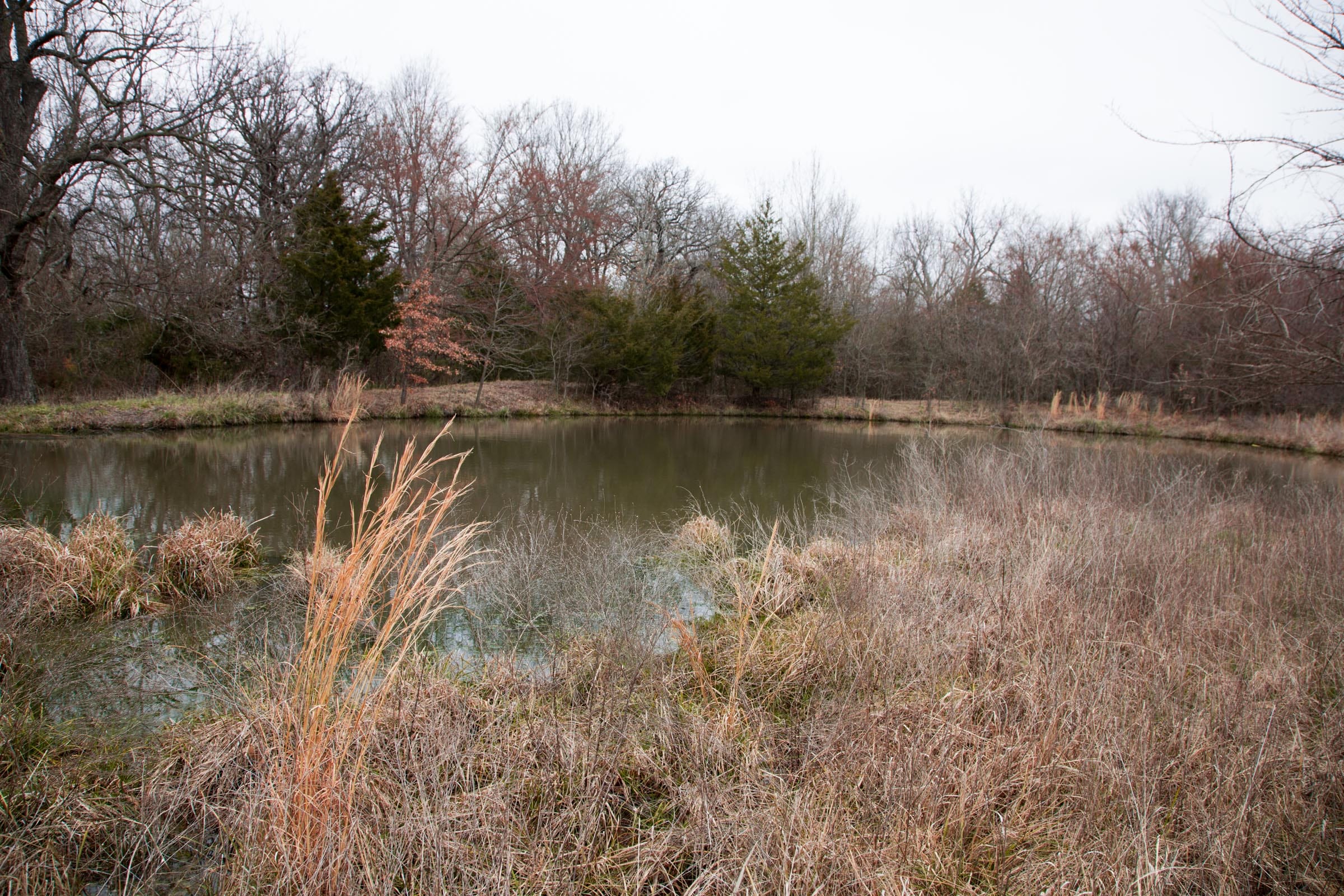 Canadian Plains Tract 4 photo 18