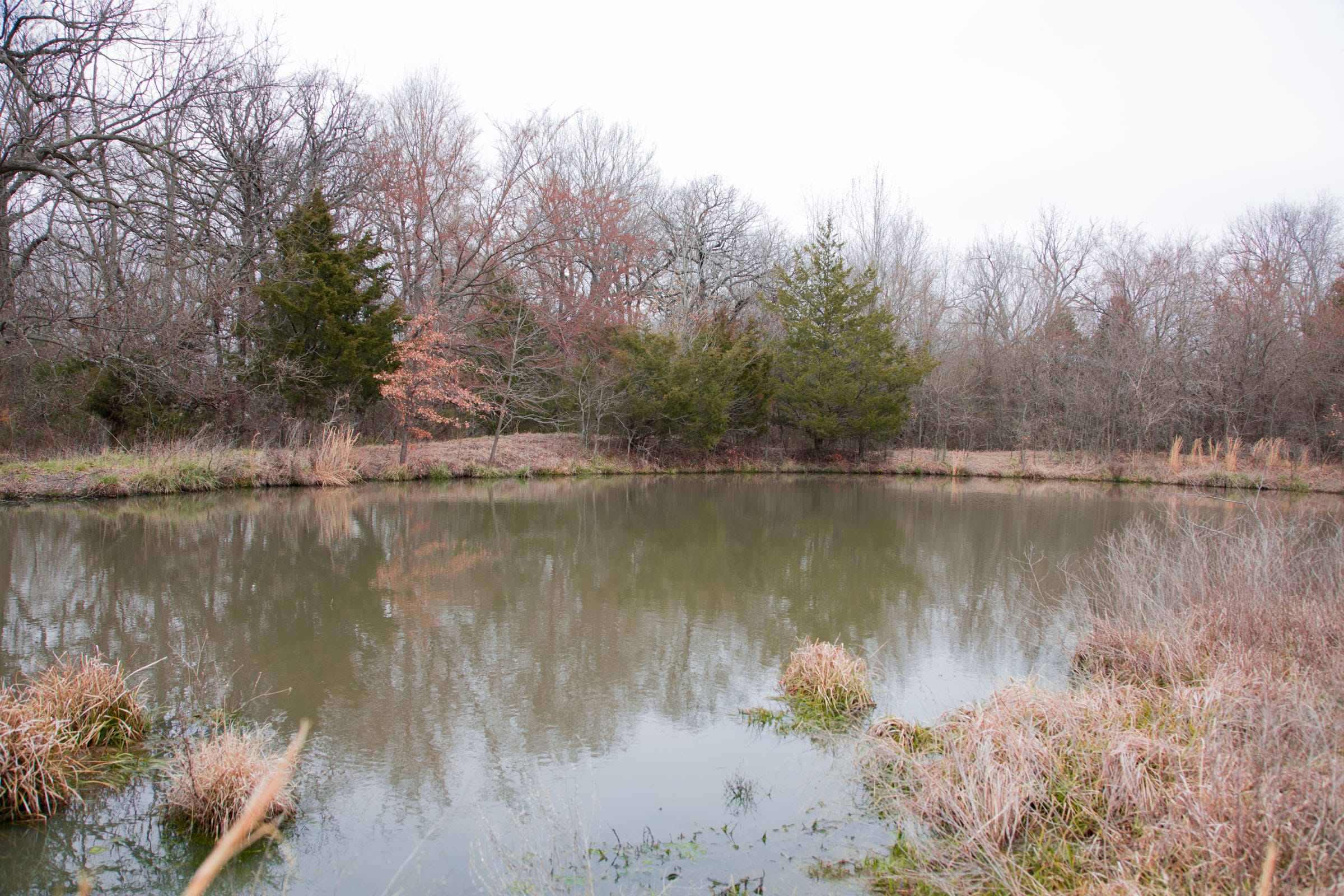 Canadian Plains Tract 4 photo 19