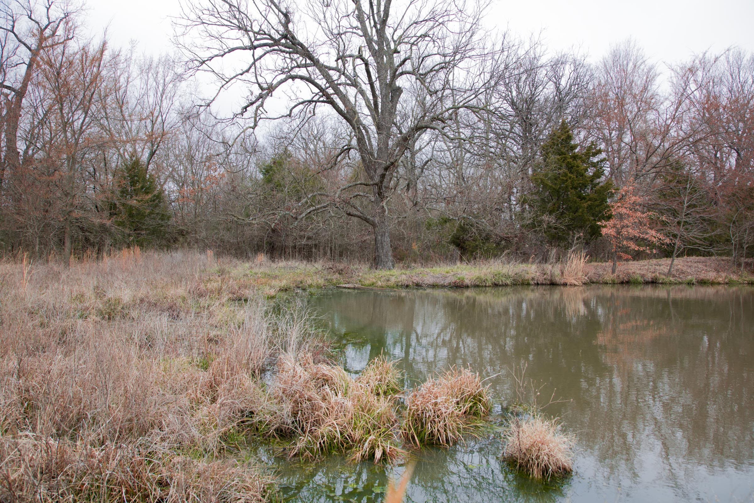 Canadian Plains Tract 4 photo 20