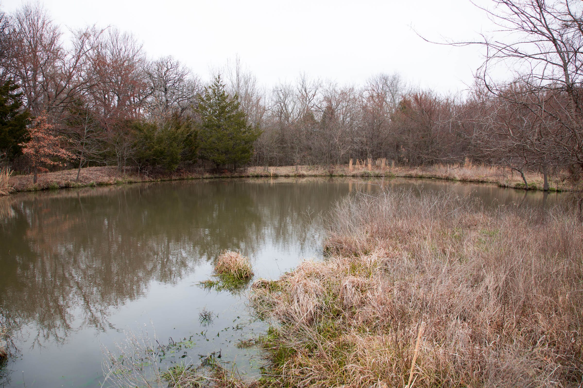 Canadian Plains Tract 4 photo 21