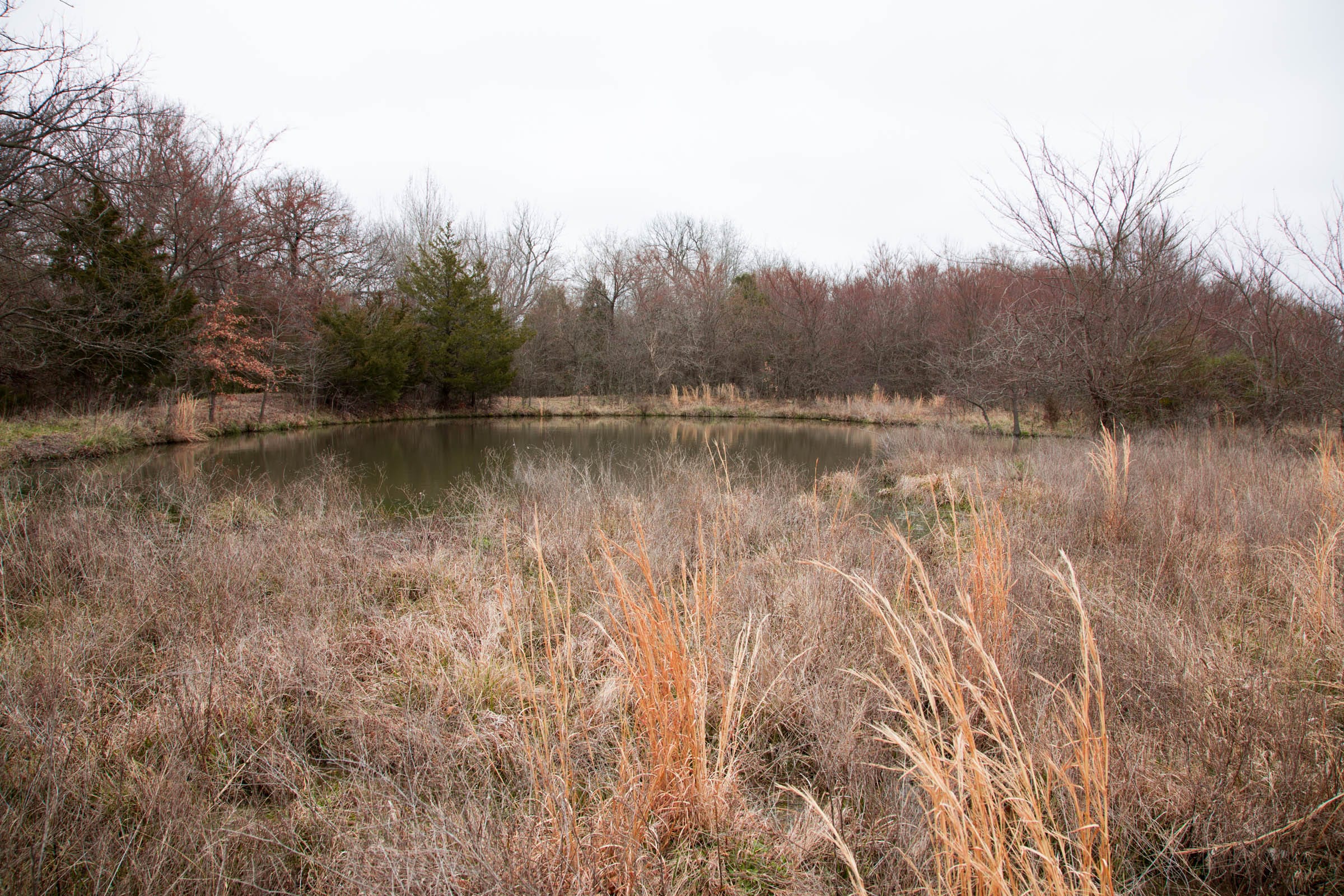 Canadian Plains Tract 4 photo 22