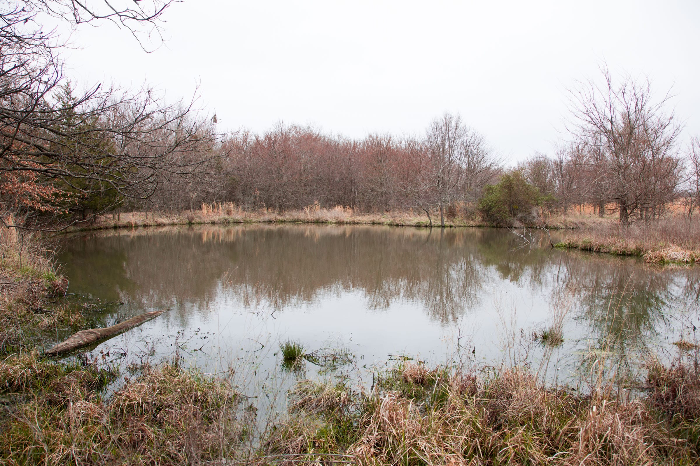 Canadian Plains Tract 4 photo 23