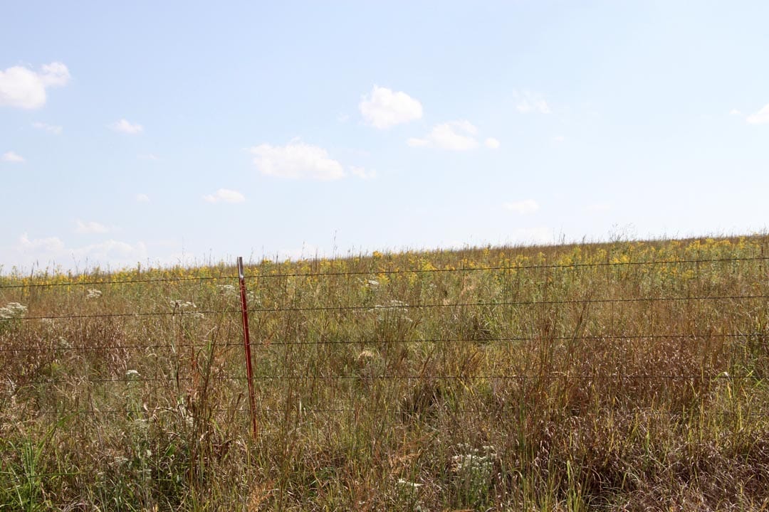 Cowboy Meadows Tract 3 photo 4