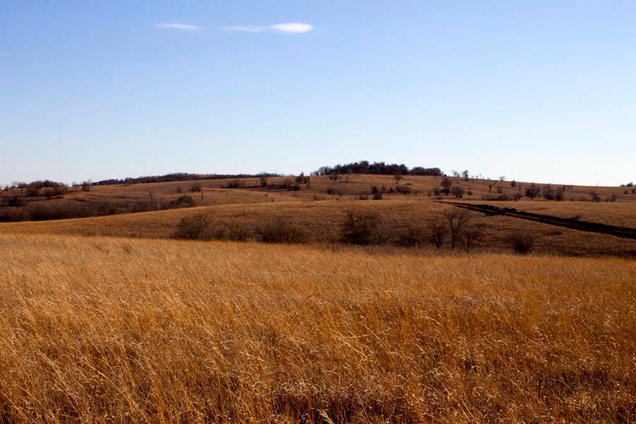 Cowboy Meadows Tract 3 photo 7