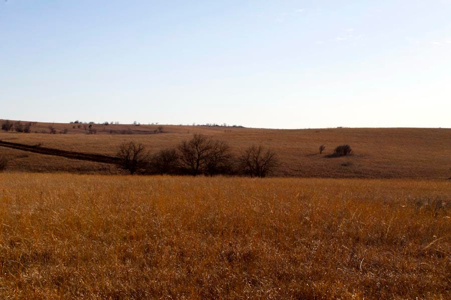 Cowboy Meadows Tract 3 photo 8