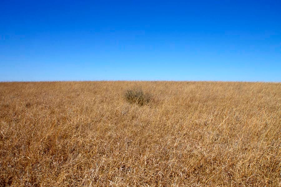 Cowboy Meadows Tract 3 photo 12