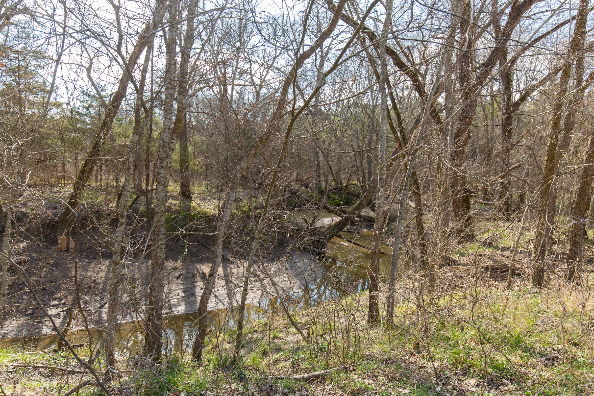 Wishing Star Ranch Tract 64 photo 4