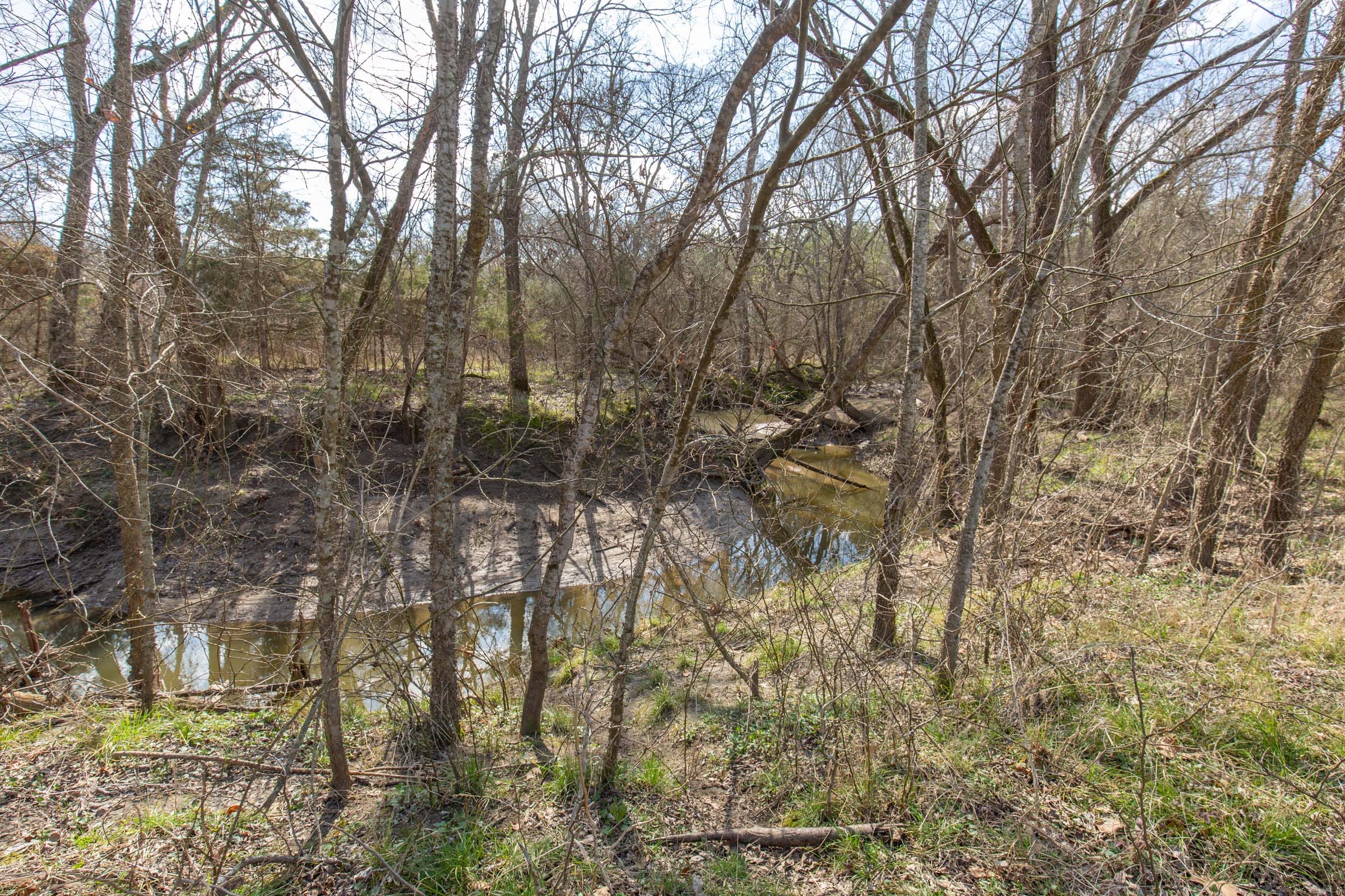Wishing Star Ranch Tract 64 photo 5