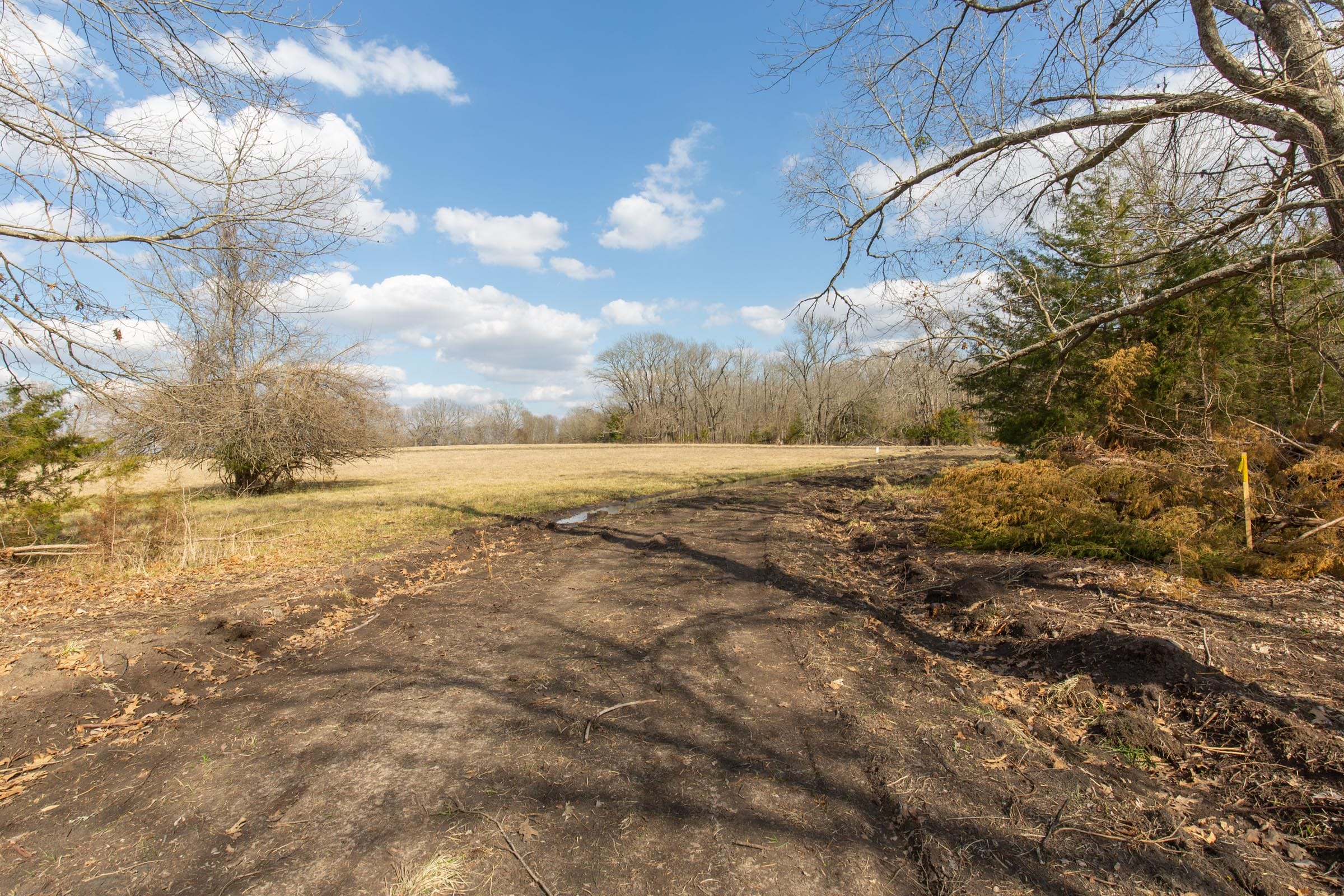 Wishing Star Ranch Tract 64 photo 1