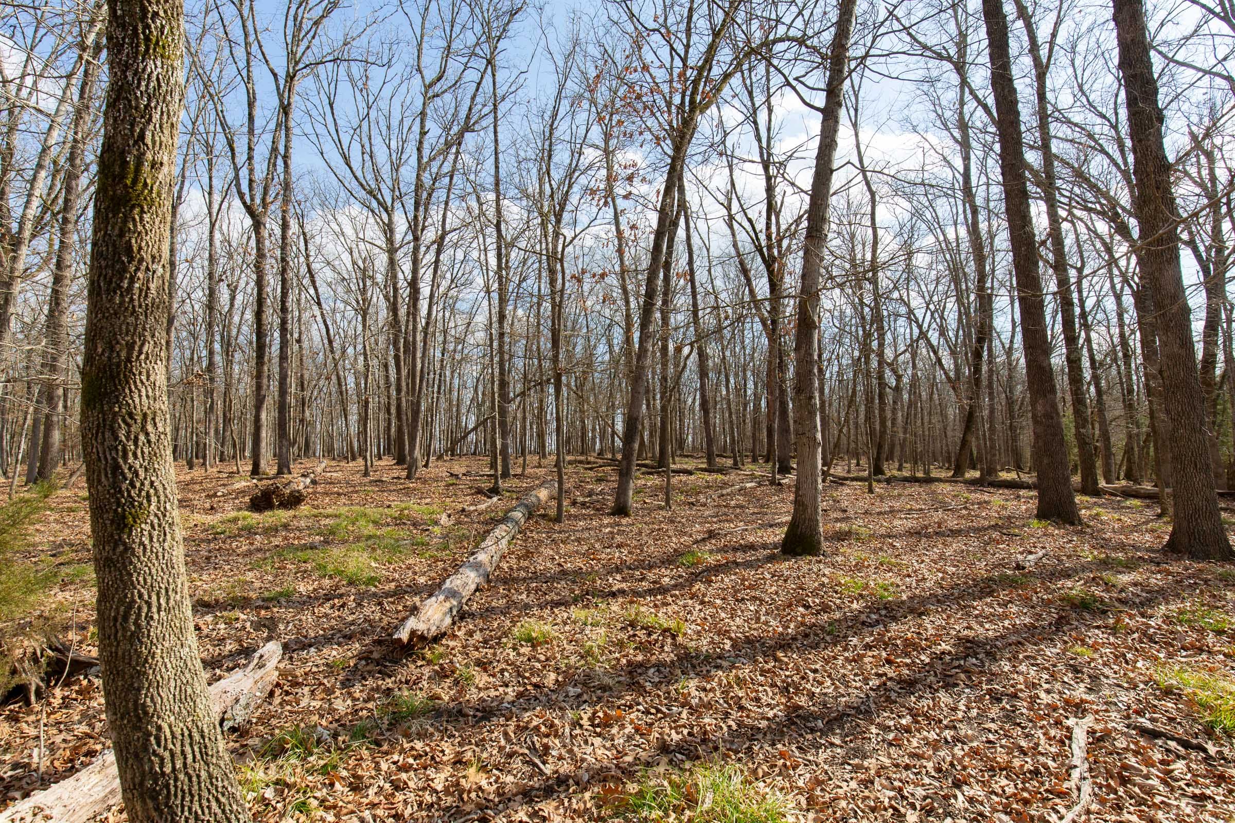 Wishing Star Ranch Tract 64 photo 10