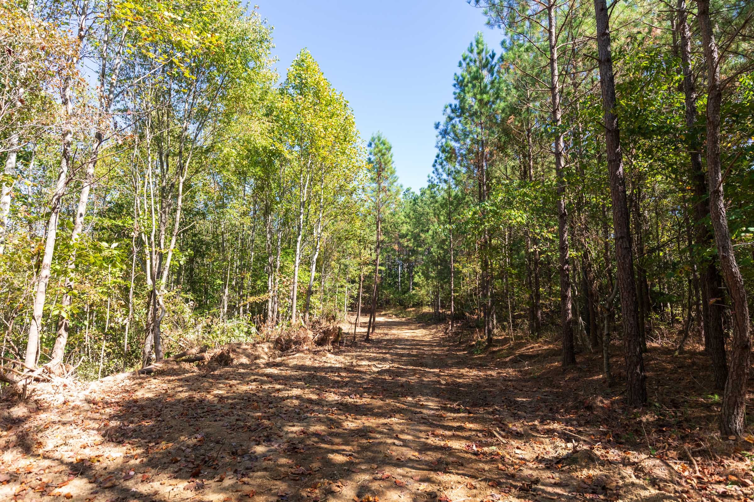Bear Brook Tract 5 photo 1