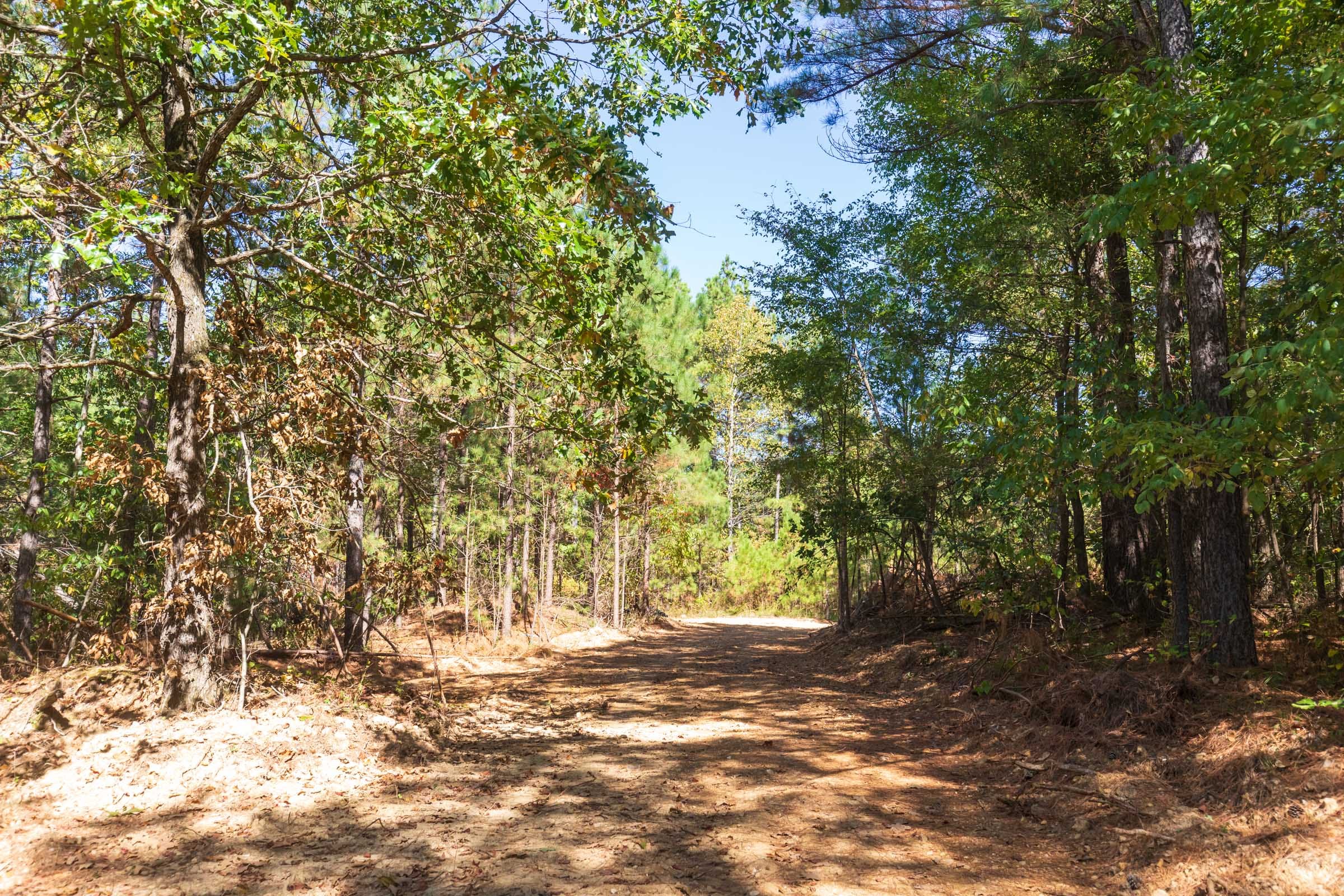 Bear Brook Tract 5 photo 4