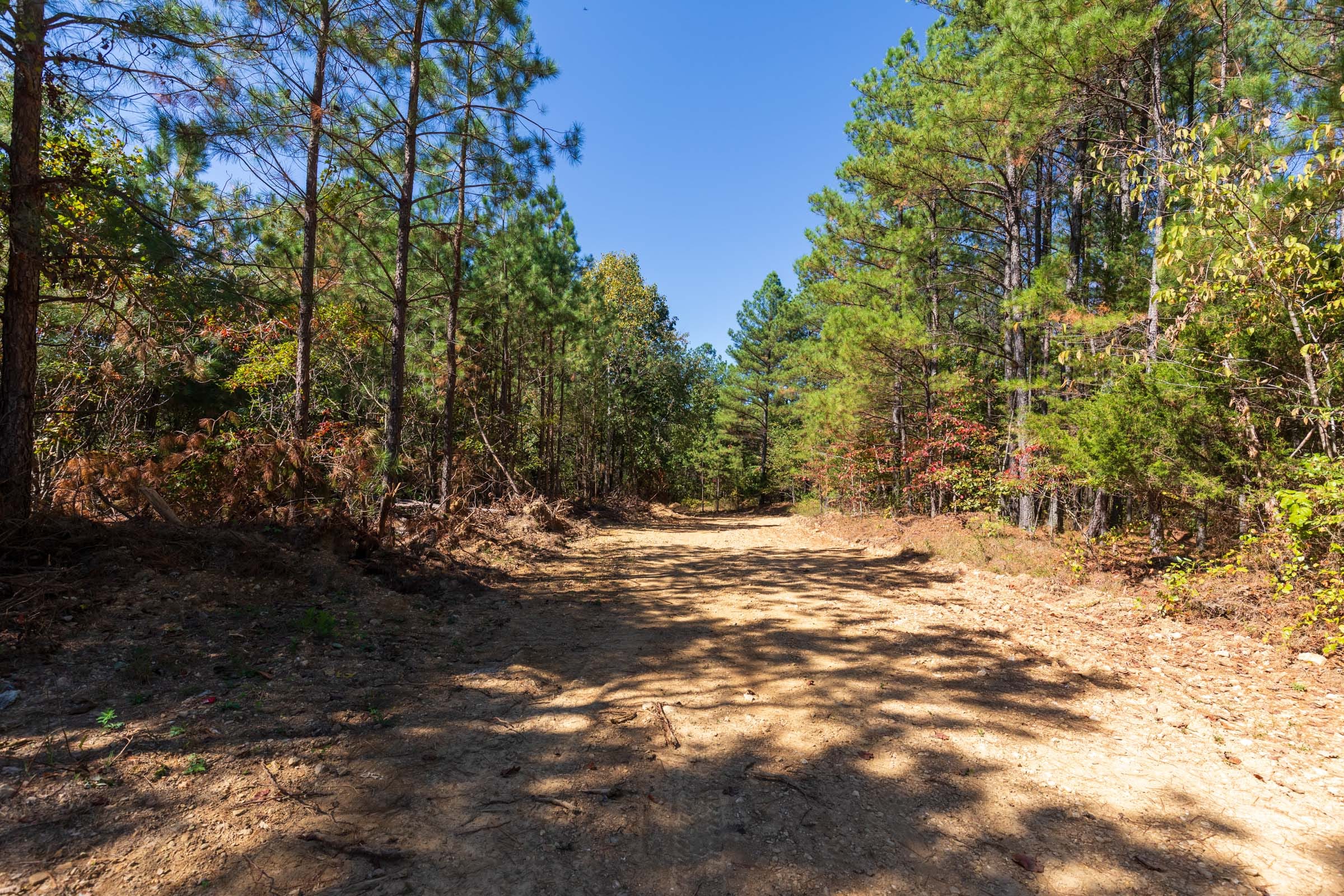 Bear Brook Tract 5 photo 8