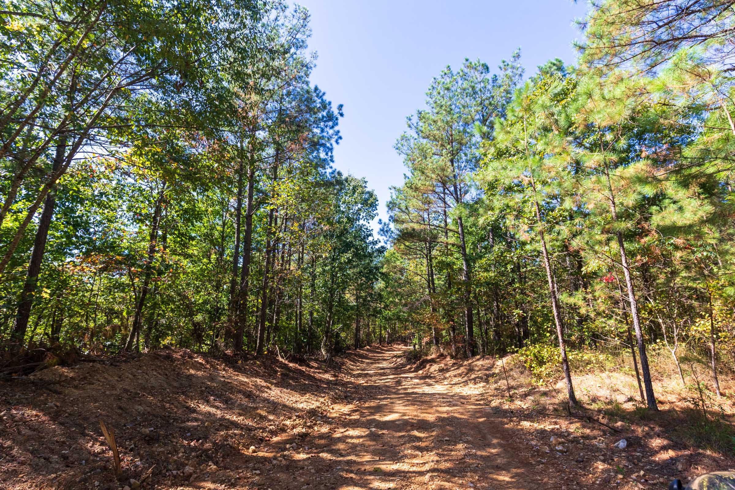 Bear Brook Tract 5 photo 10