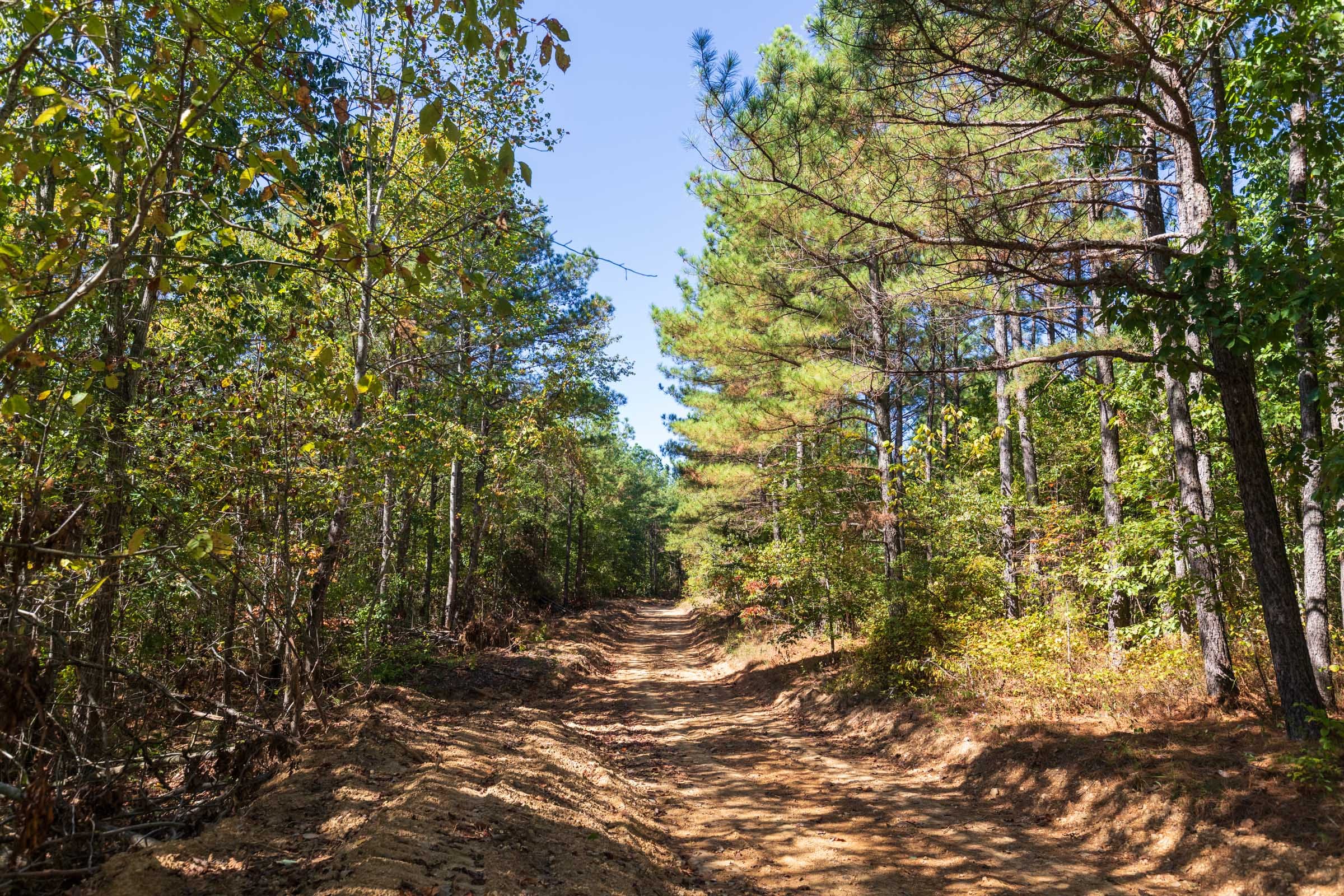Bear Brook Tract 5 photo 11