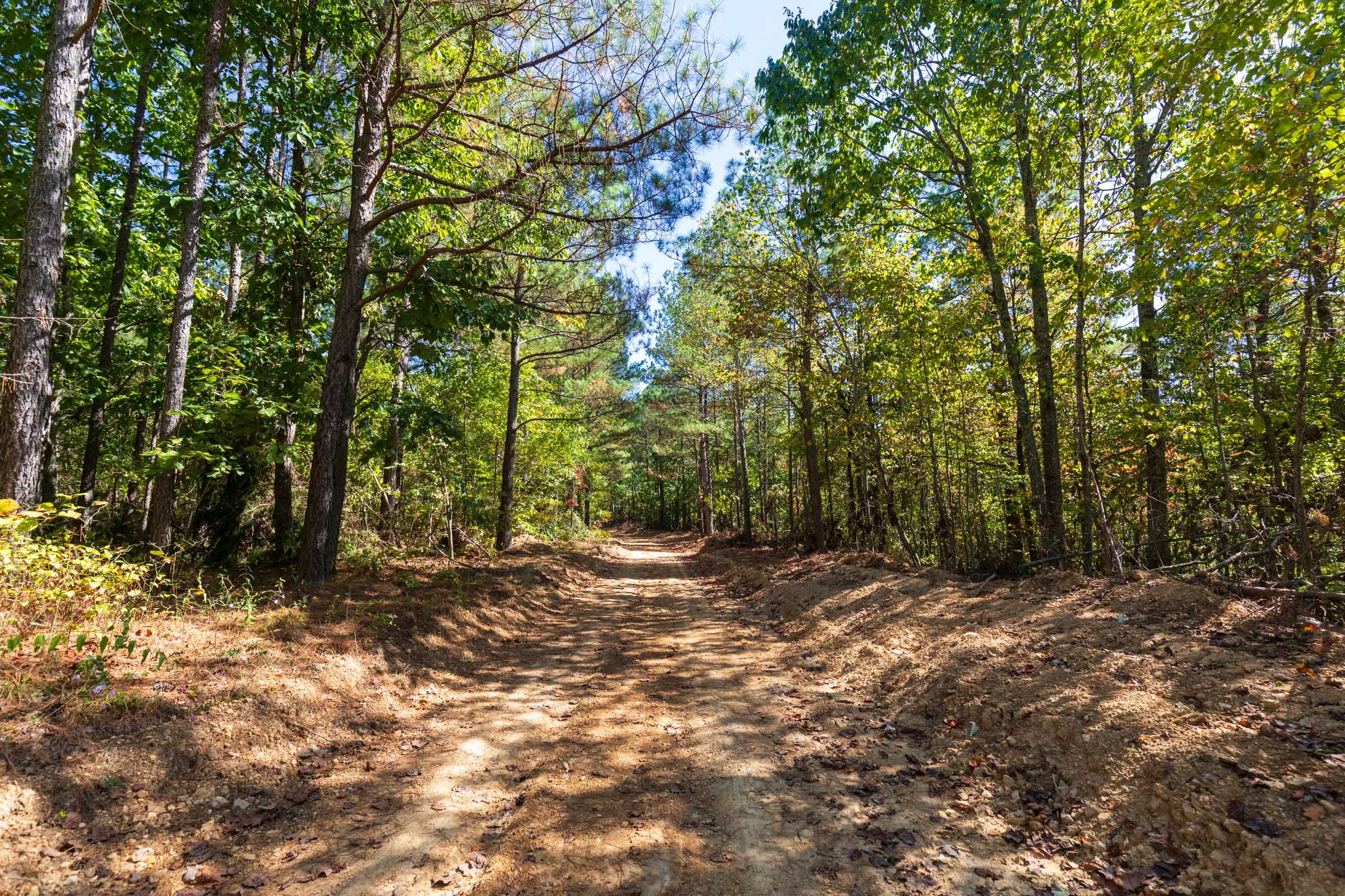 Bear Brook Tract 5 photo 6