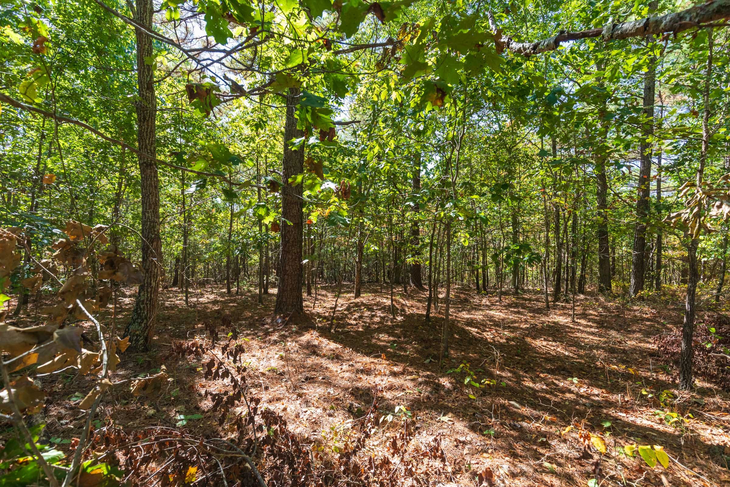 Bear Brook Tract 5 photo 9