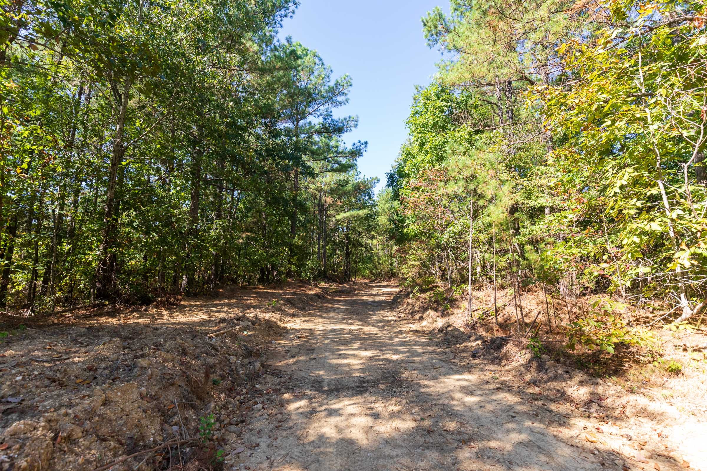 Bear Brook Tract 5 photo 12
