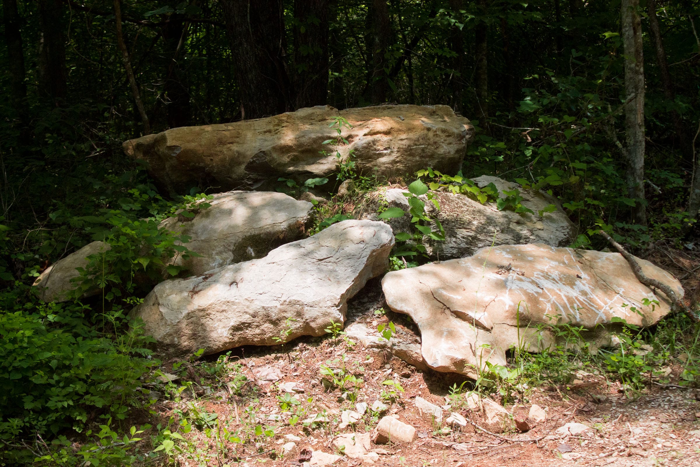Bluewater Ridge Tract 2 photo 2