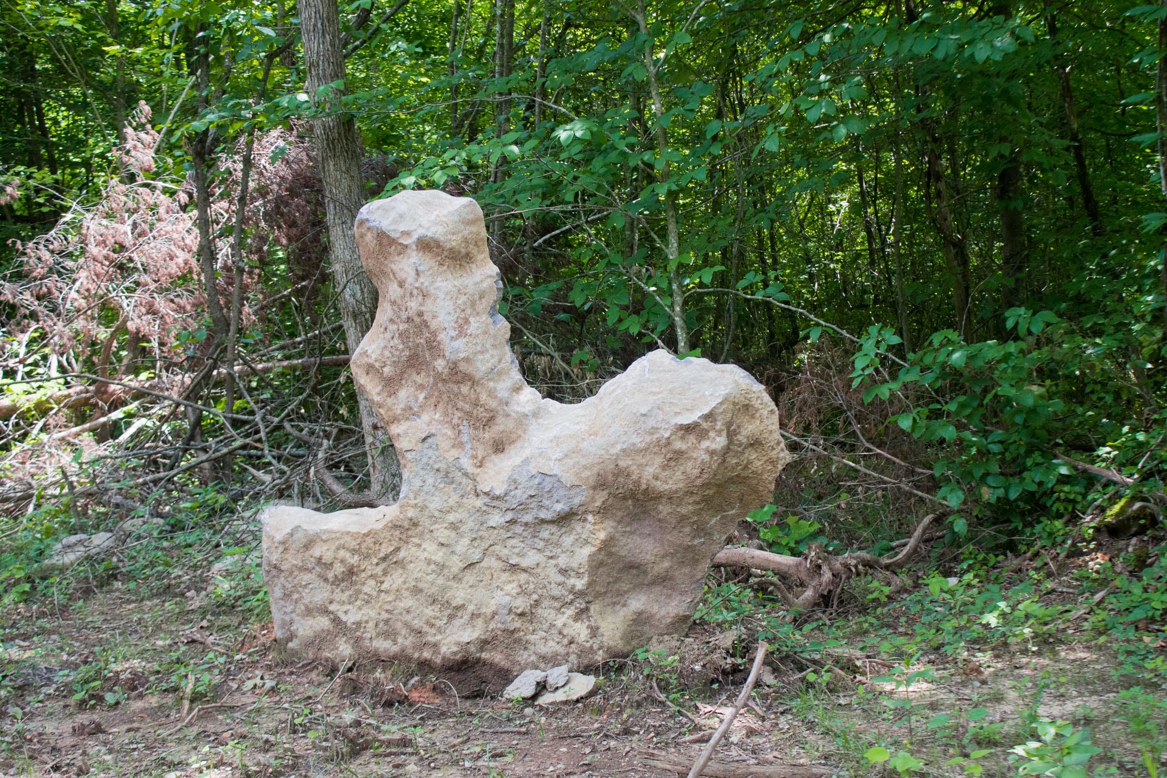 Bluewater Ridge Tract 2 photo 3
