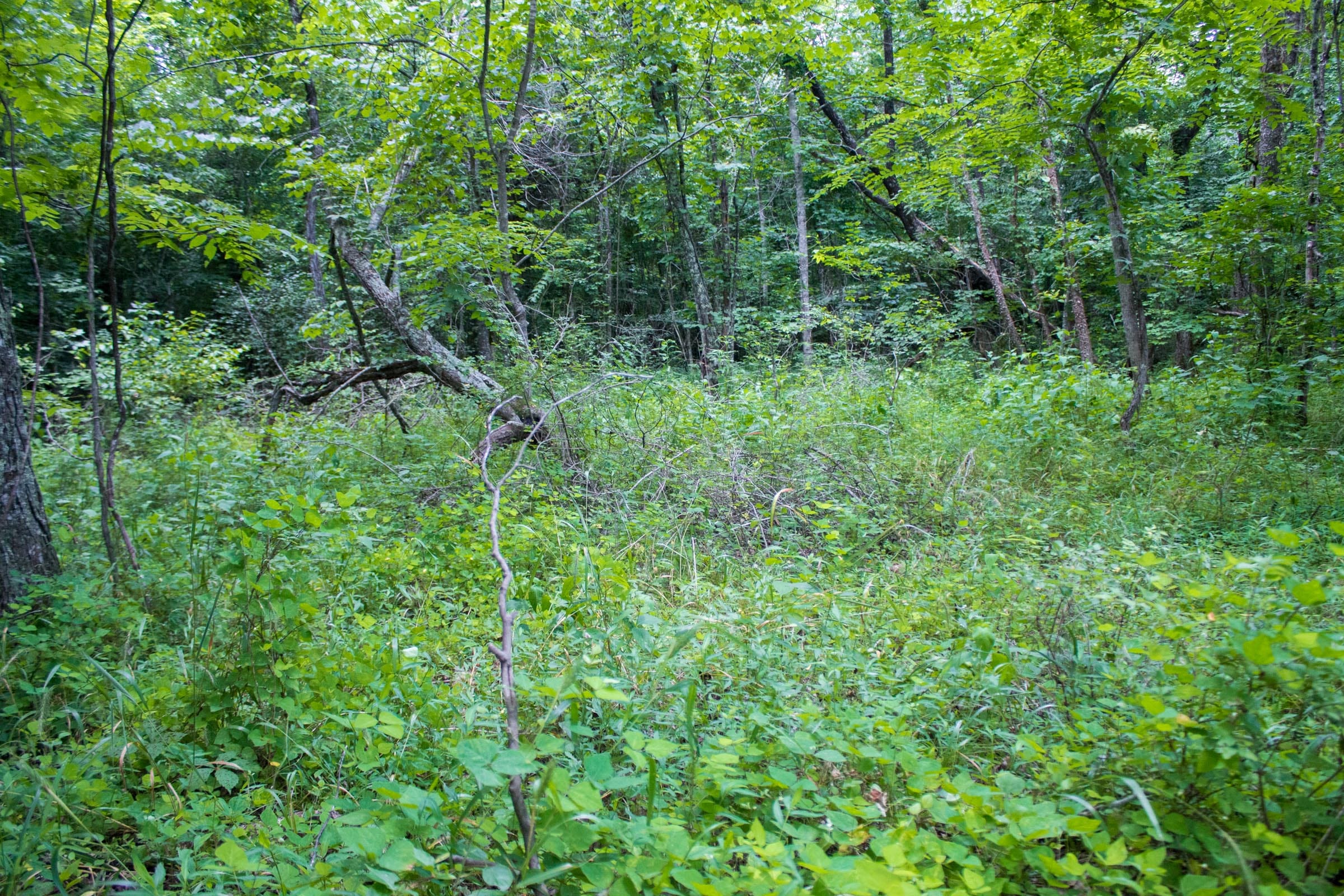 Bluewater Ridge Tract 2 photo 7