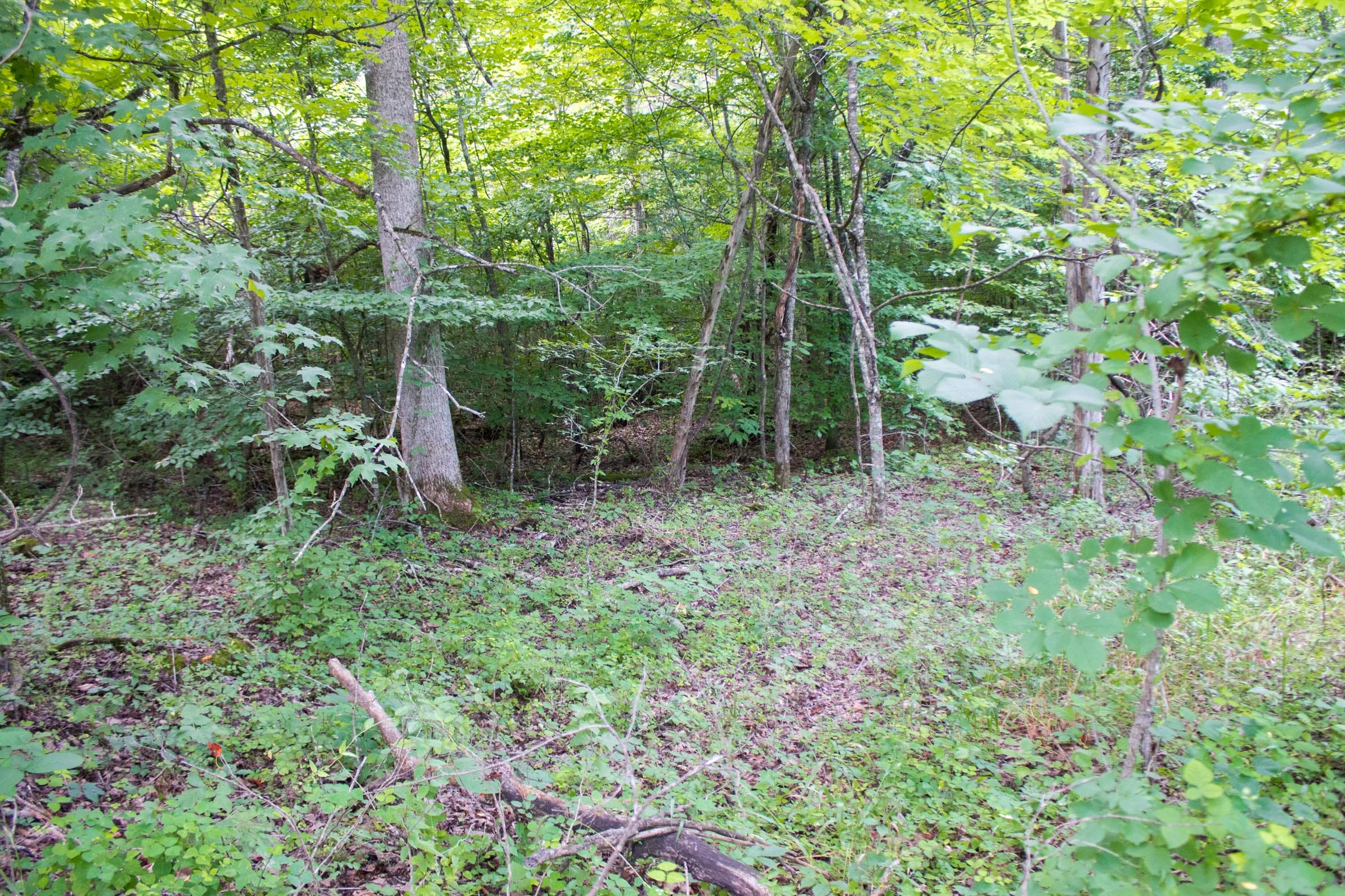 Bluewater Ridge Tract 2 photo 9
