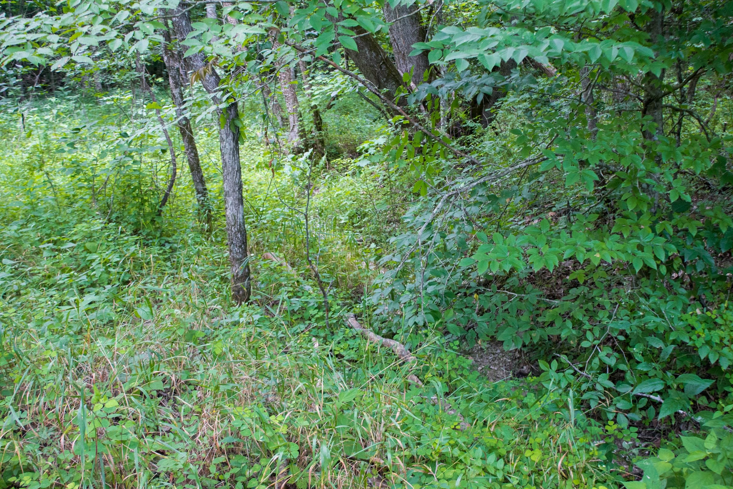Bluewater Ridge Tract 2 photo 10