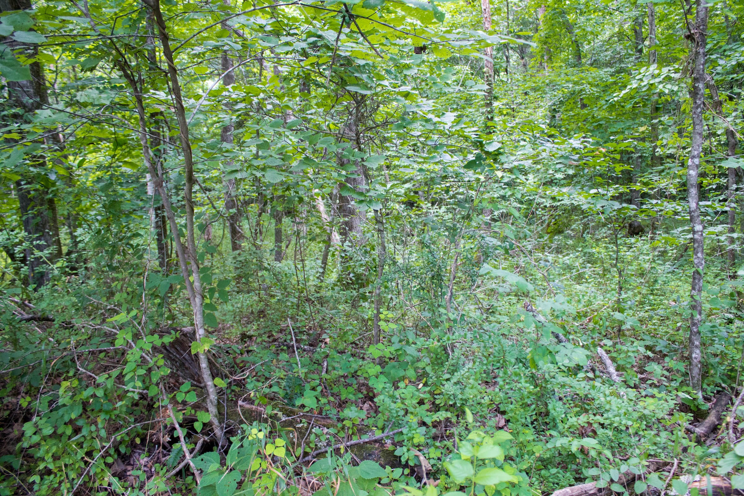 Bluewater Ridge Tract 2 photo 12
