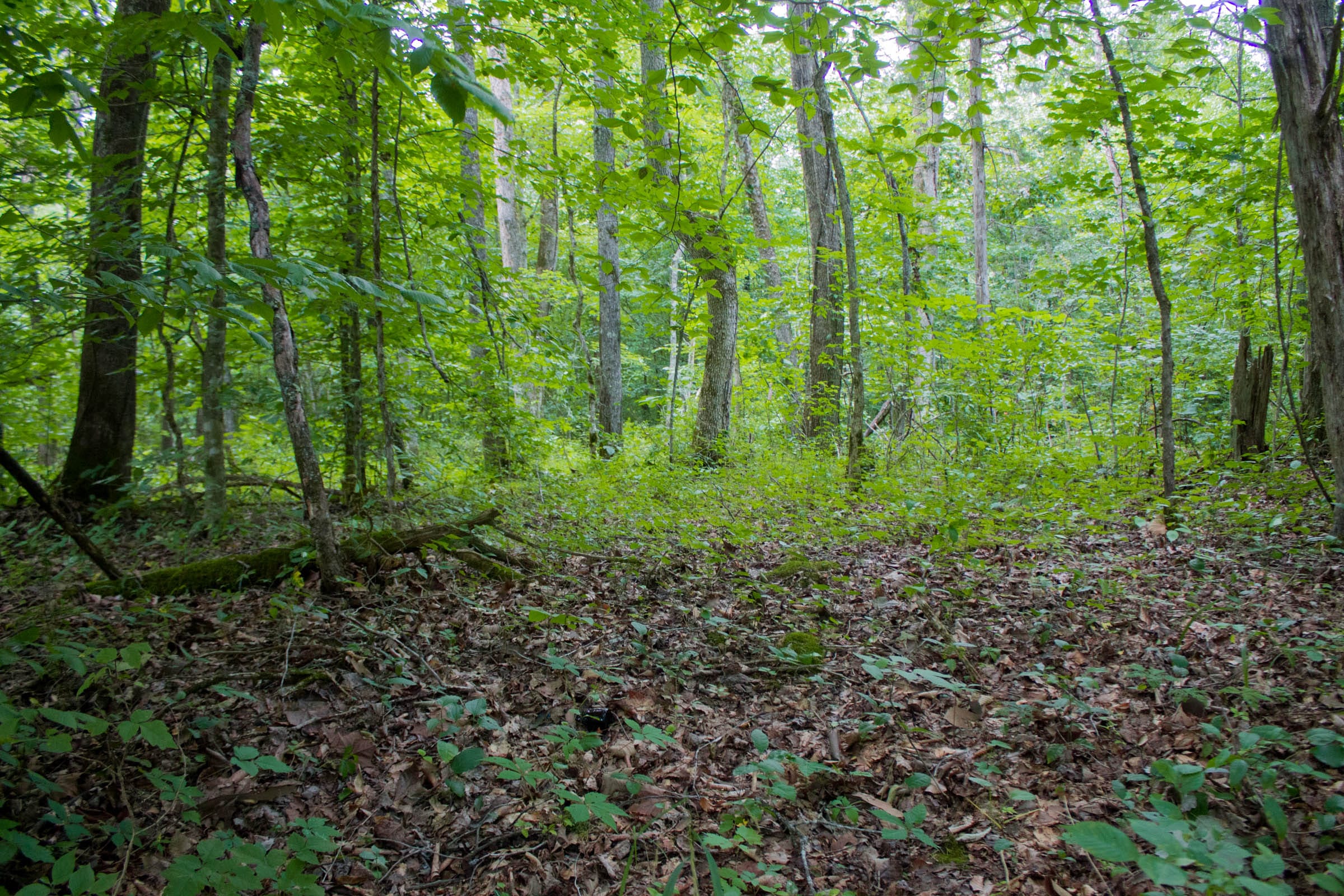 Bluewater Ridge Tract 2 photo 13