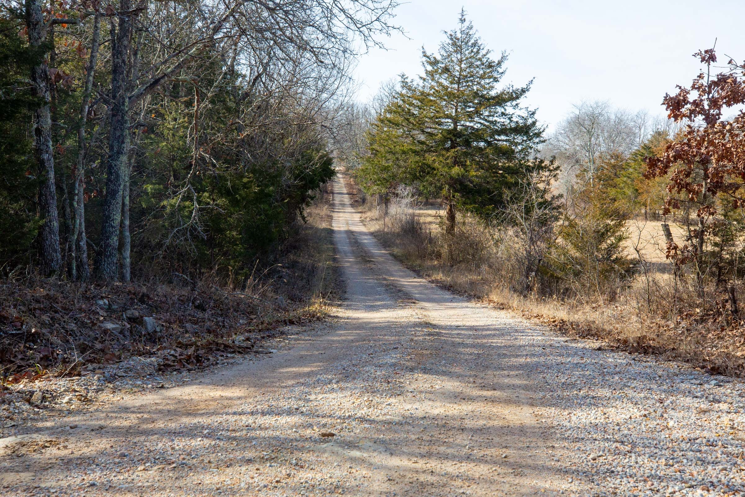 Forest Hill Tract 13 photo 1