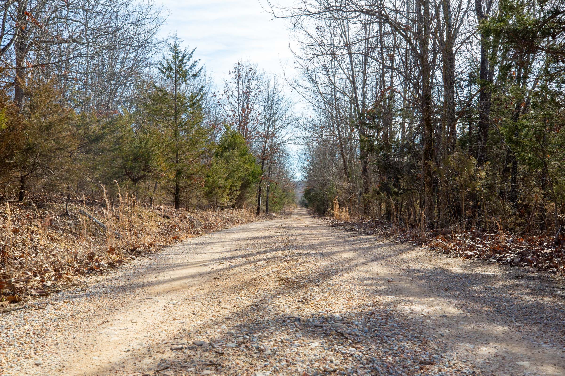 Forest Hill Tract 13 photo 7