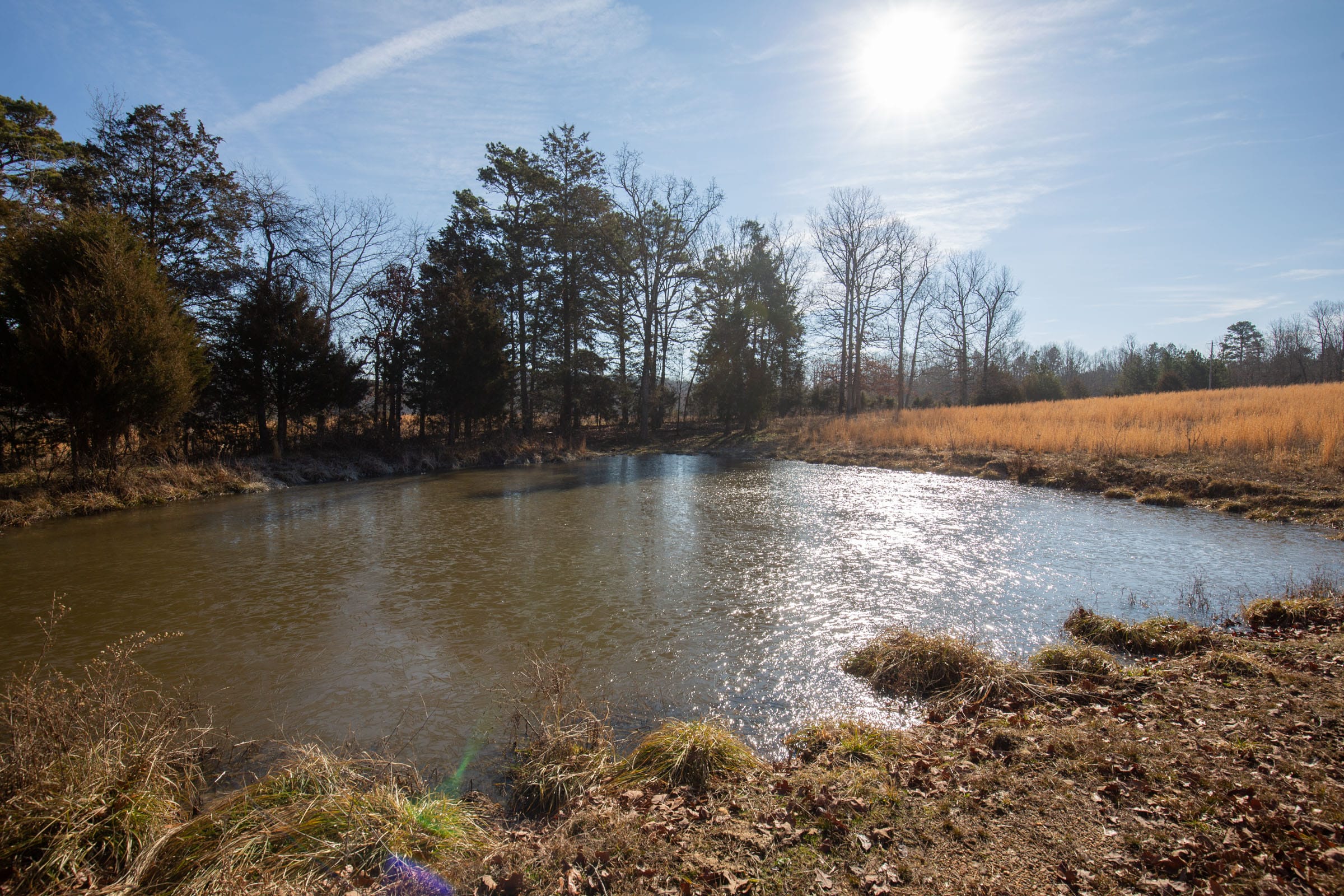 O’Connor Crossing Tract 36 photo 3