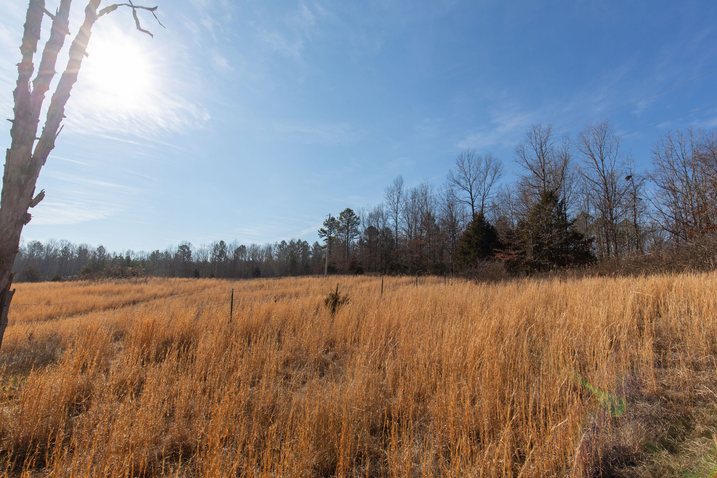 O’Connor Crossing Tract 36 photo 8