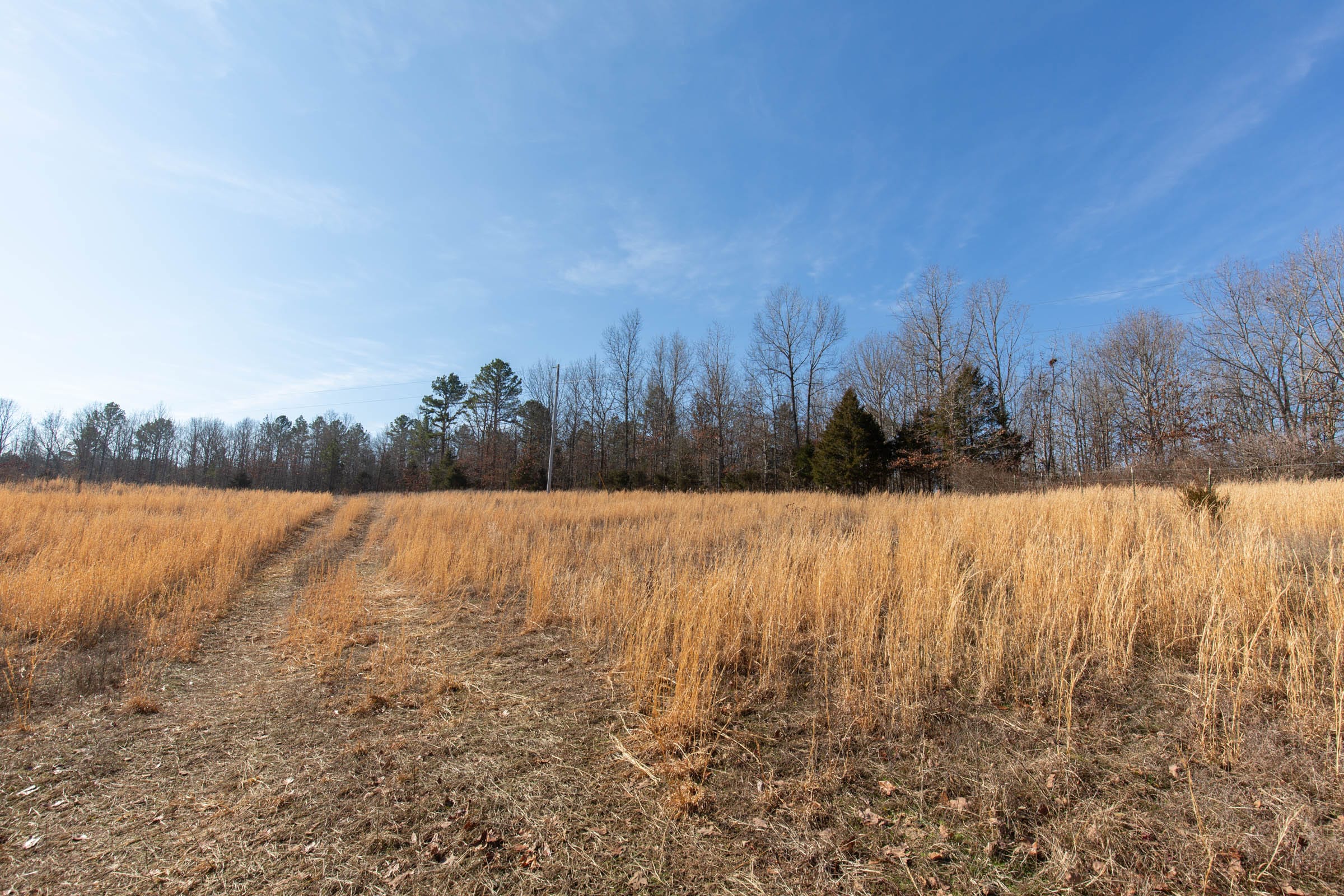 O’Connor Crossing Tract 36 photo 25