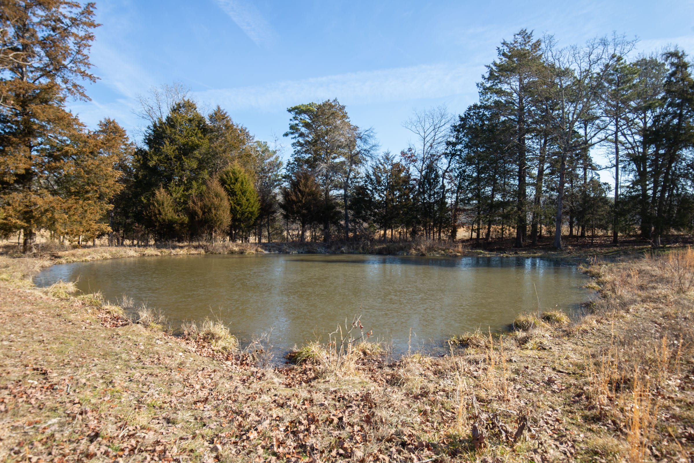 O’Connor Crossing Tract 36 photo 4