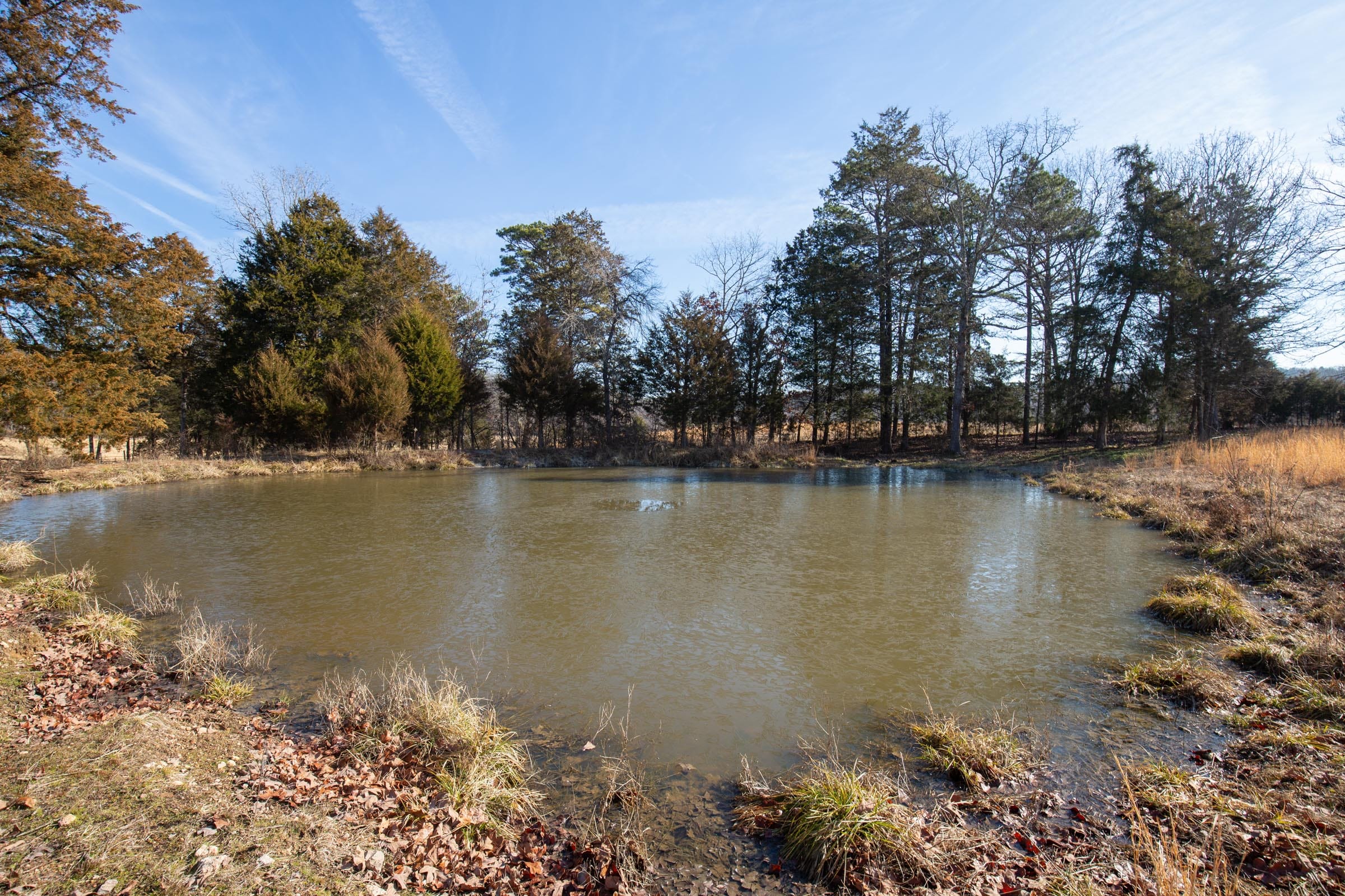 O’Connor Crossing Tract 36 photo 5