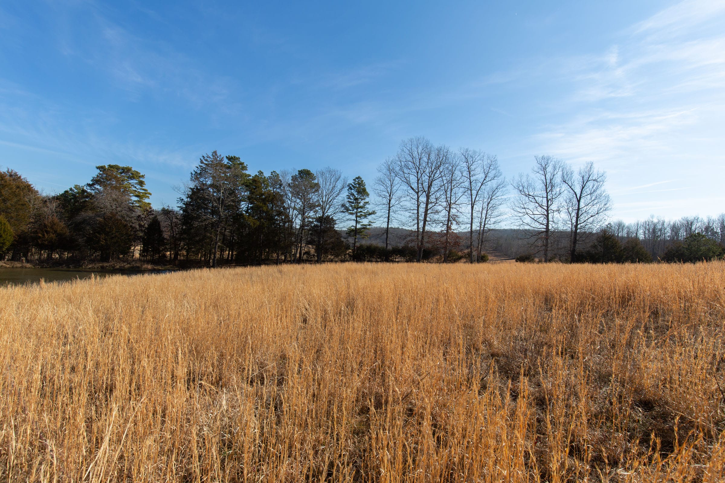 O’Connor Crossing Tract 36 photo 15