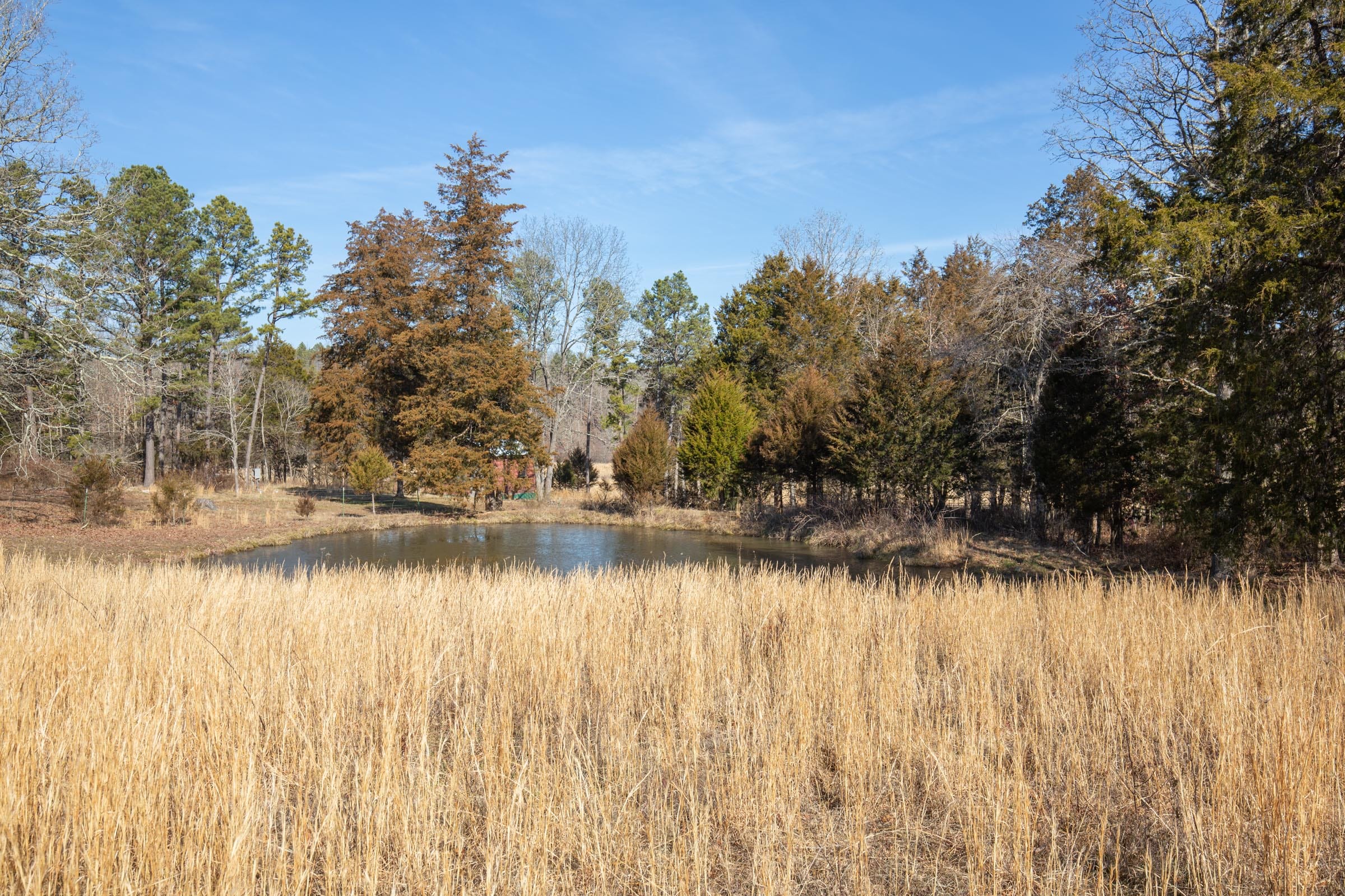 O’Connor Crossing Tract 36 photo 6