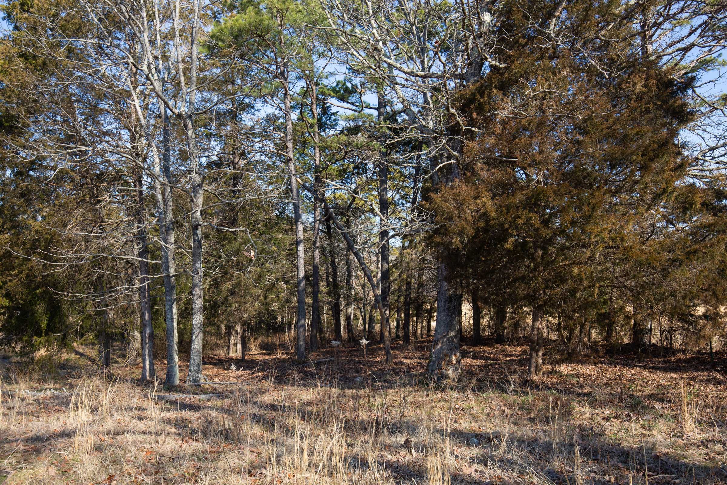 O’Connor Crossing Tract 36 photo 10