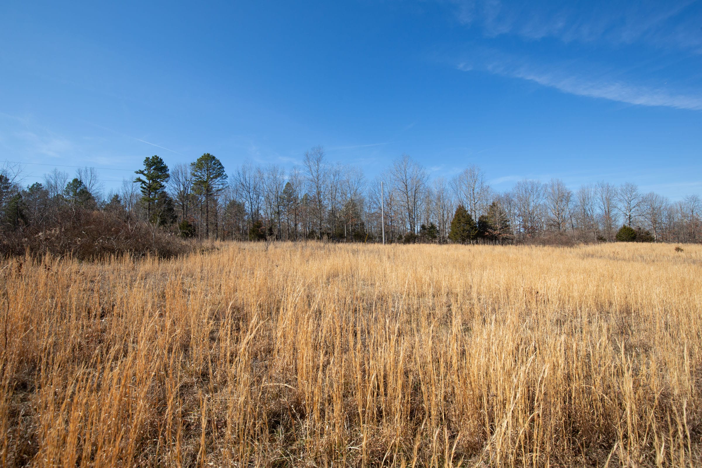 O’Connor Crossing Tract 36 photo 11