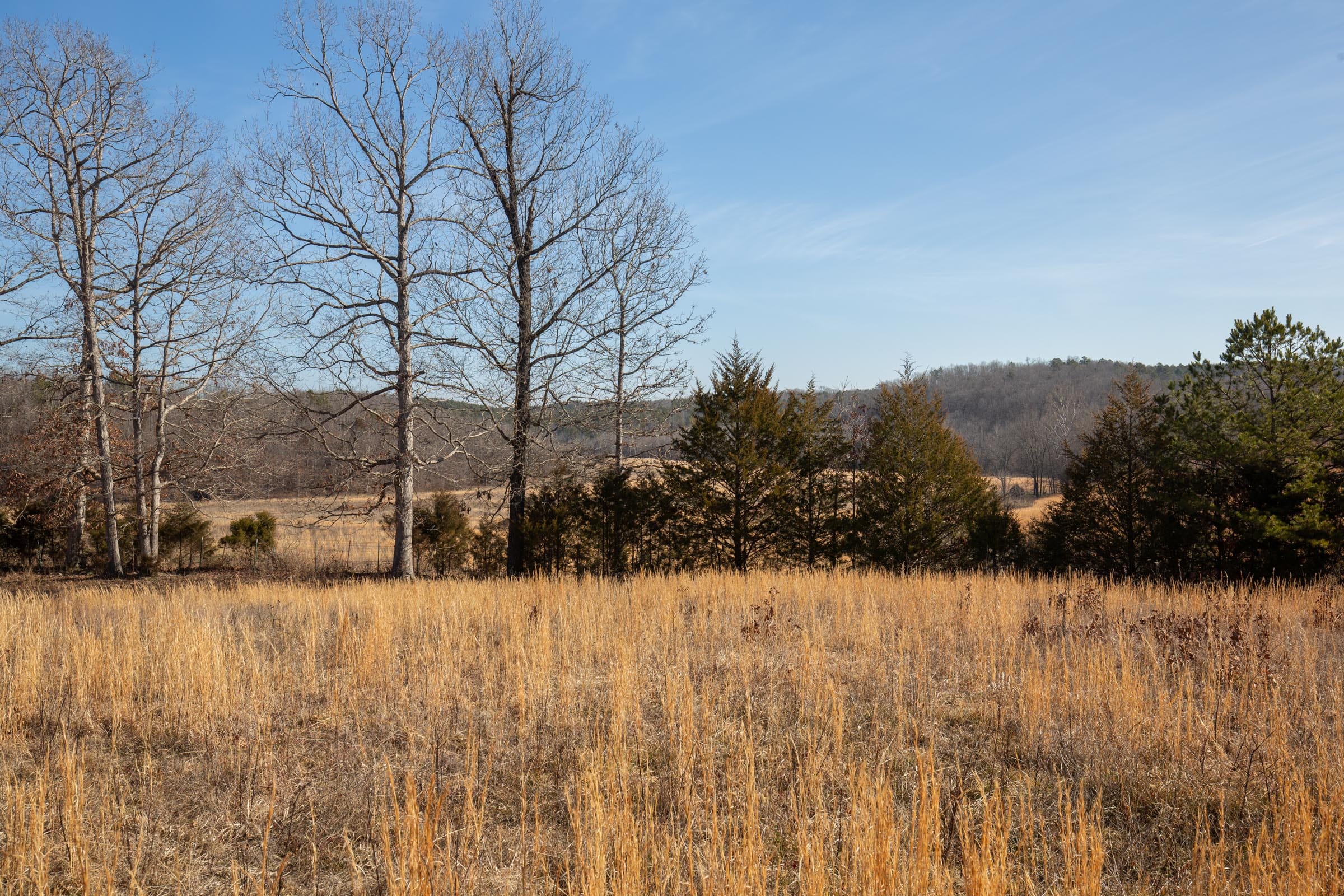 O’Connor Crossing Tract 36 photo 13