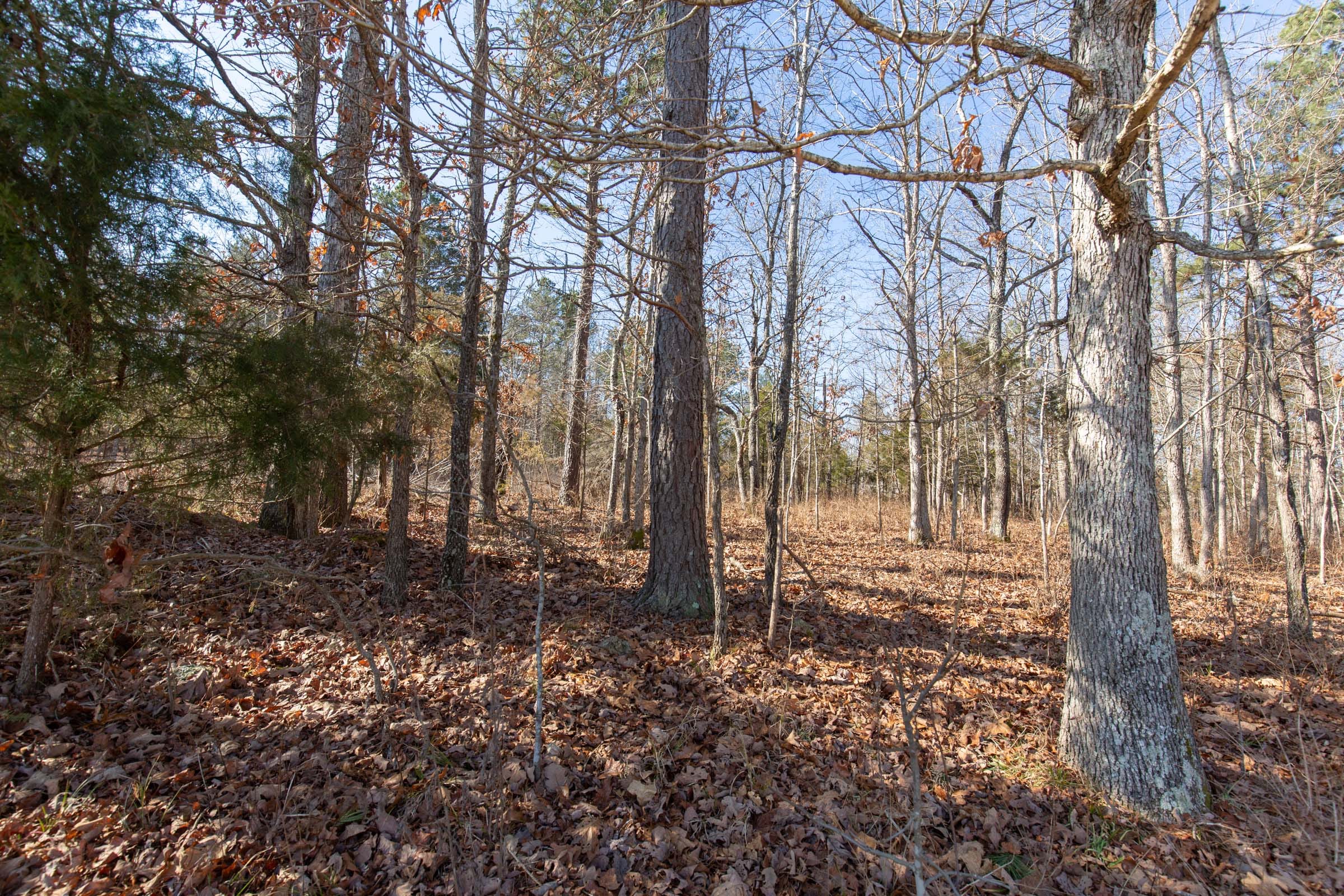 O’Connor Crossing Tract 36 photo 12