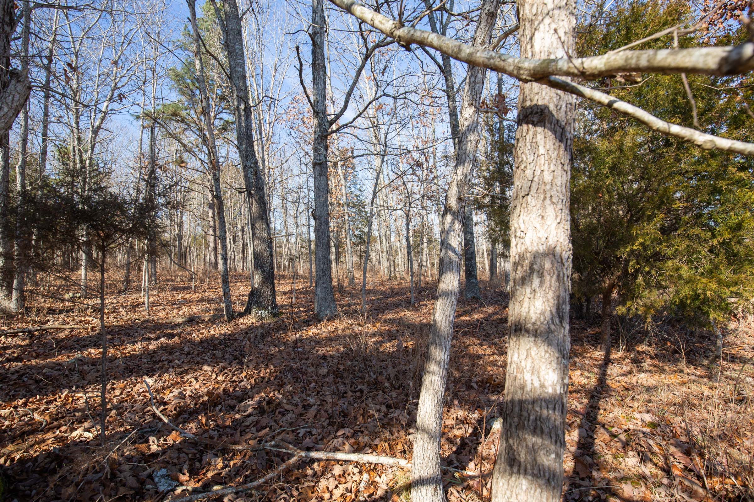 O’Connor Crossing Tract 36 photo 14