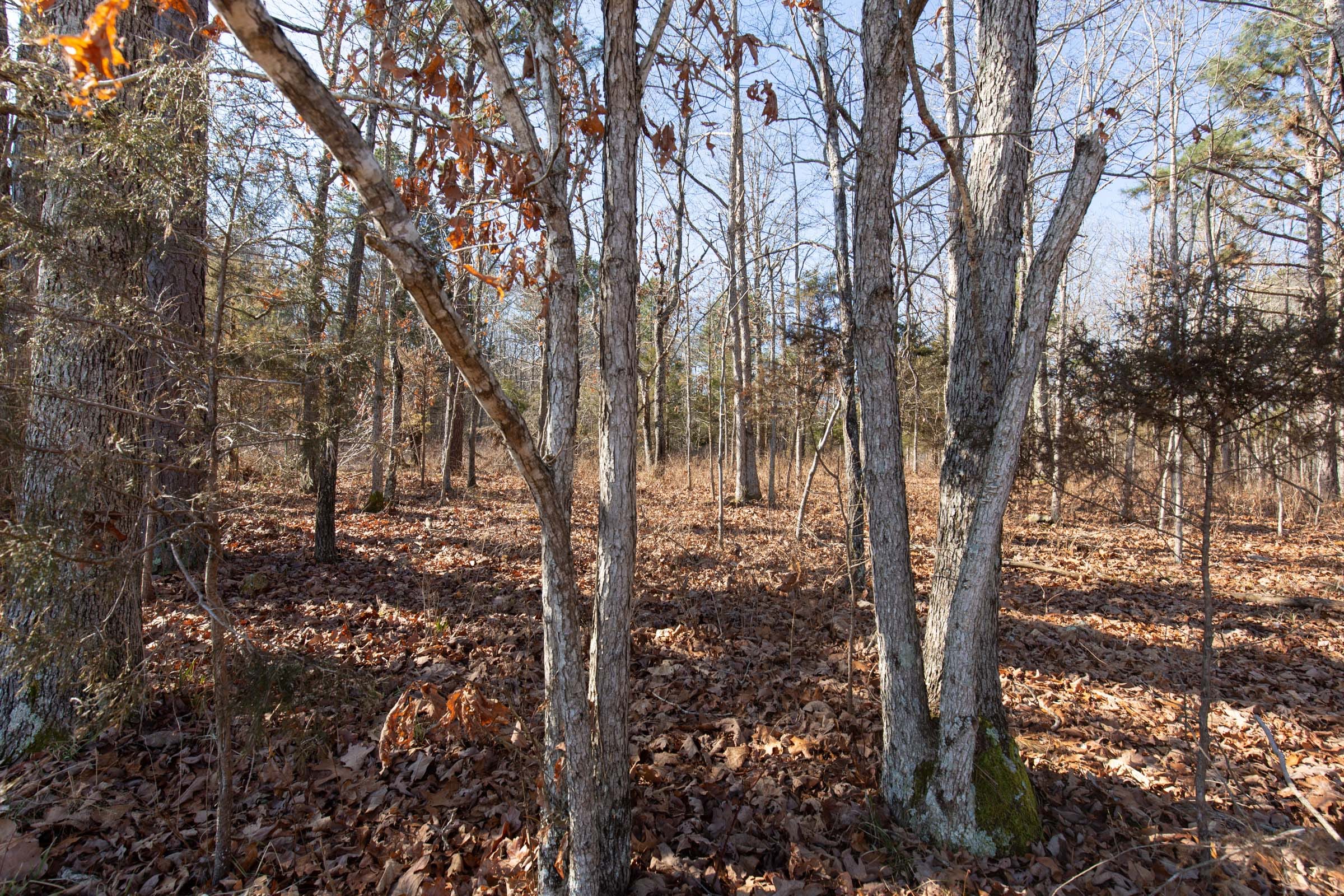 O’Connor Crossing Tract 36 photo 16